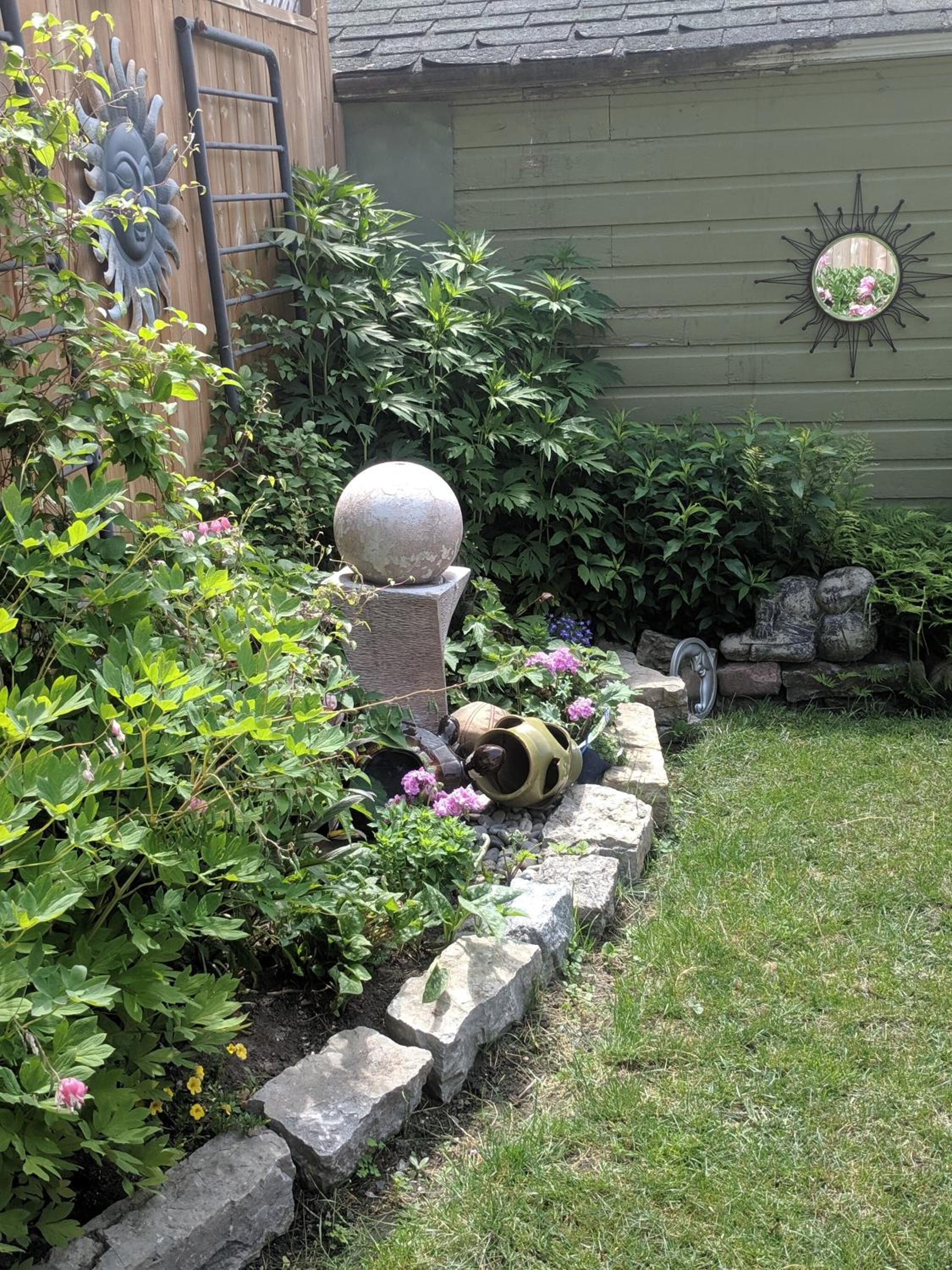 Photo 11