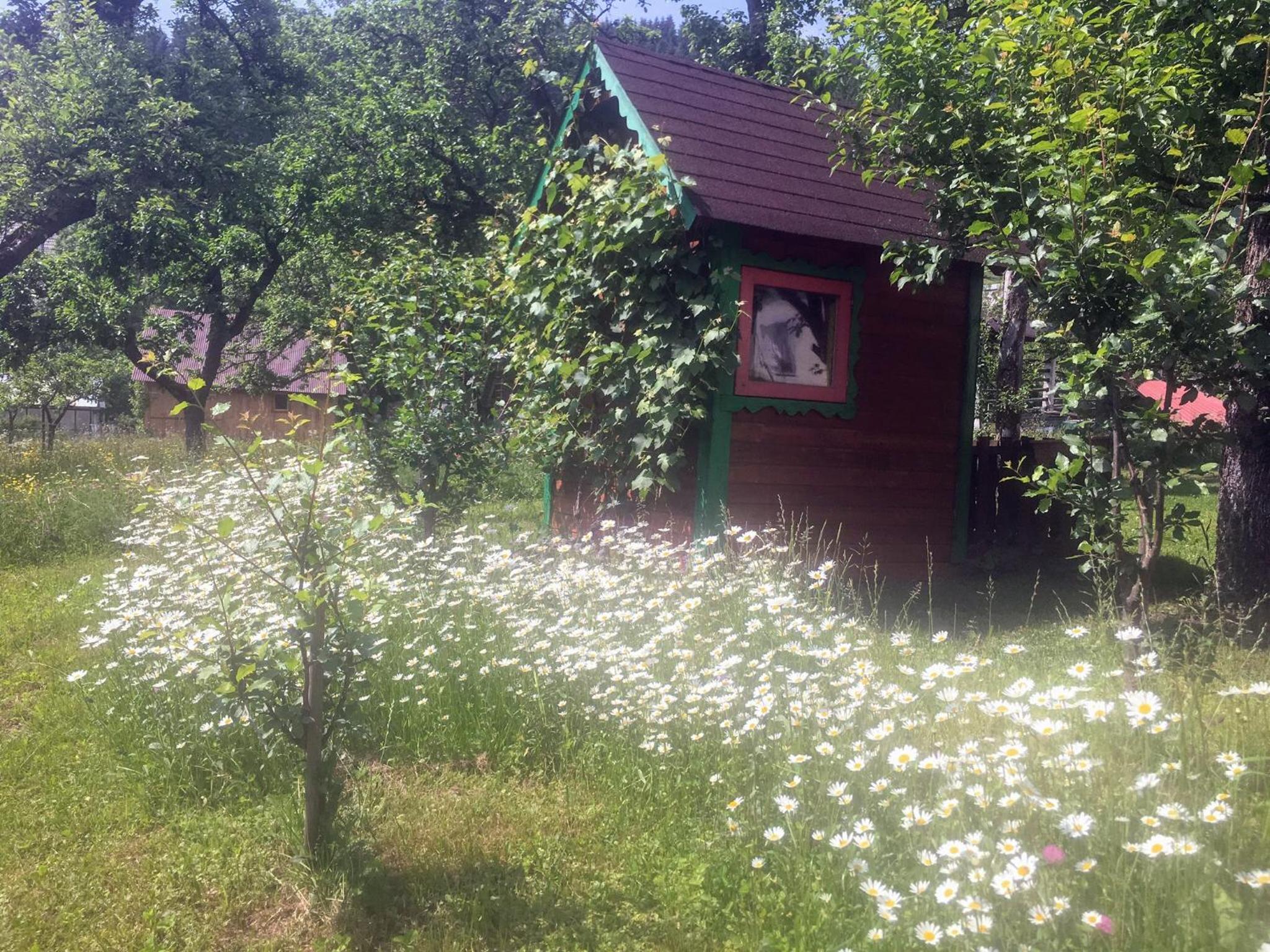 Photo 47