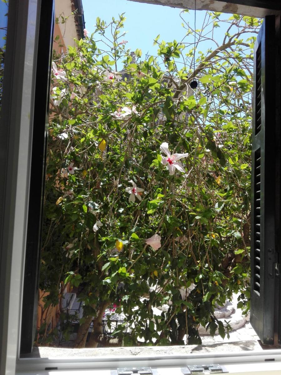 Photo 32
