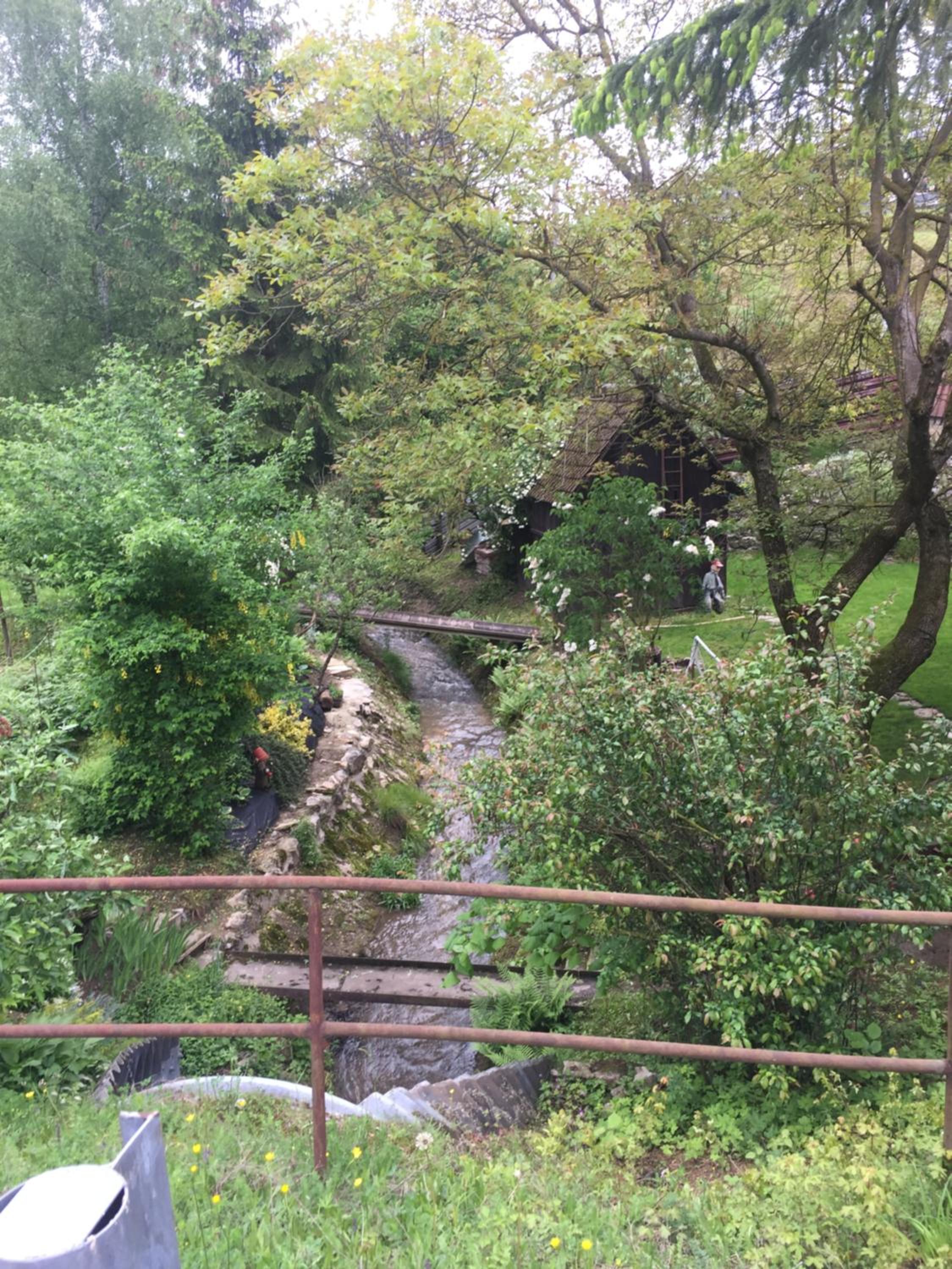 Photo 15