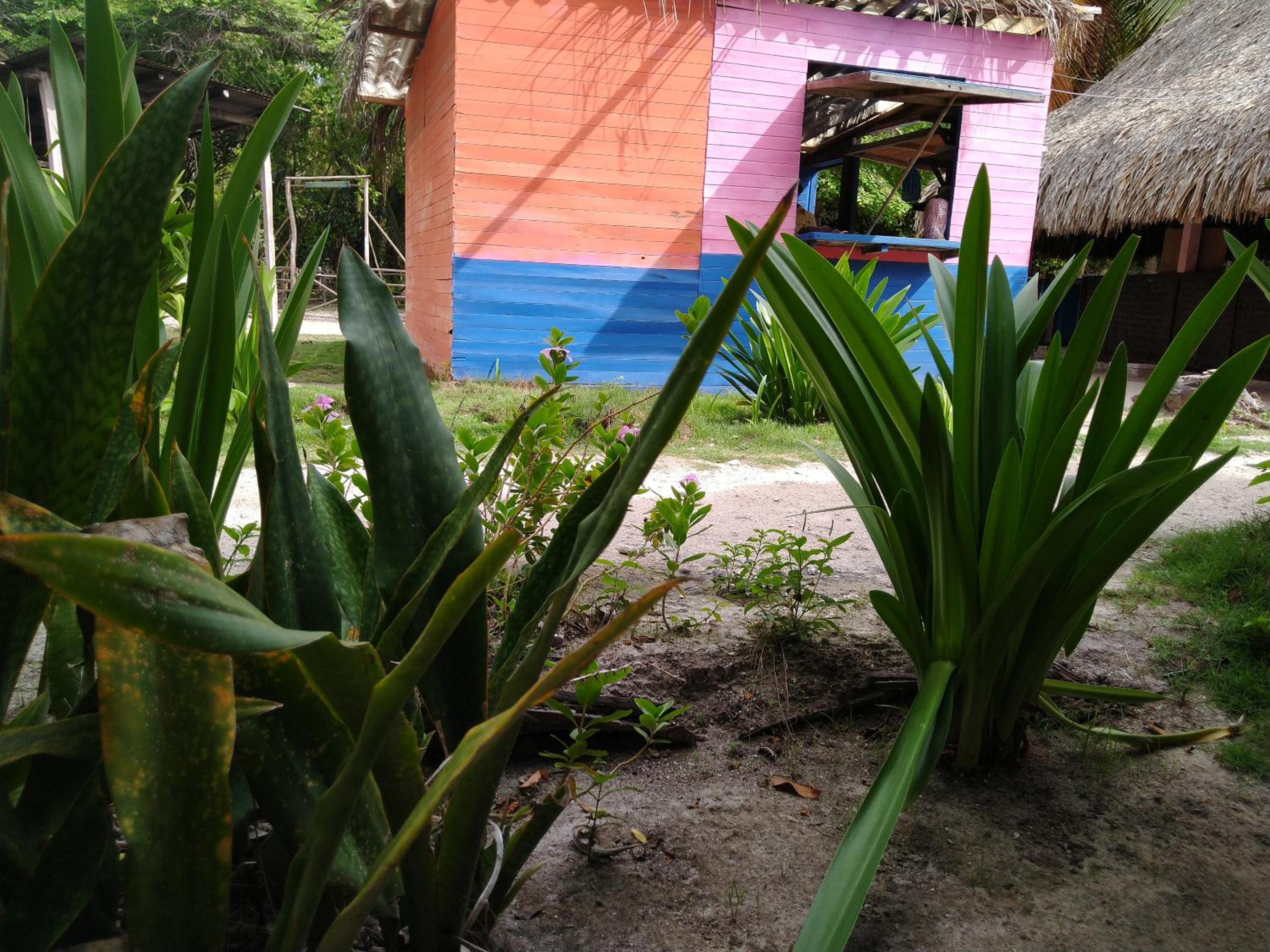 Photo 42