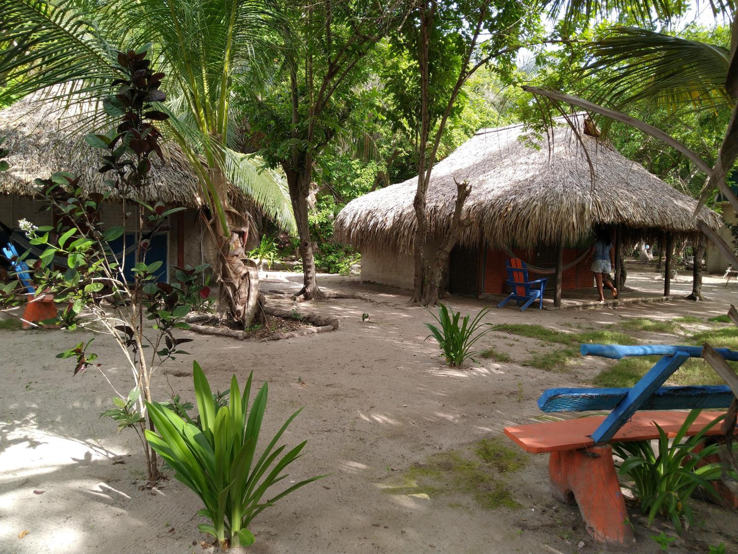 Photo 41