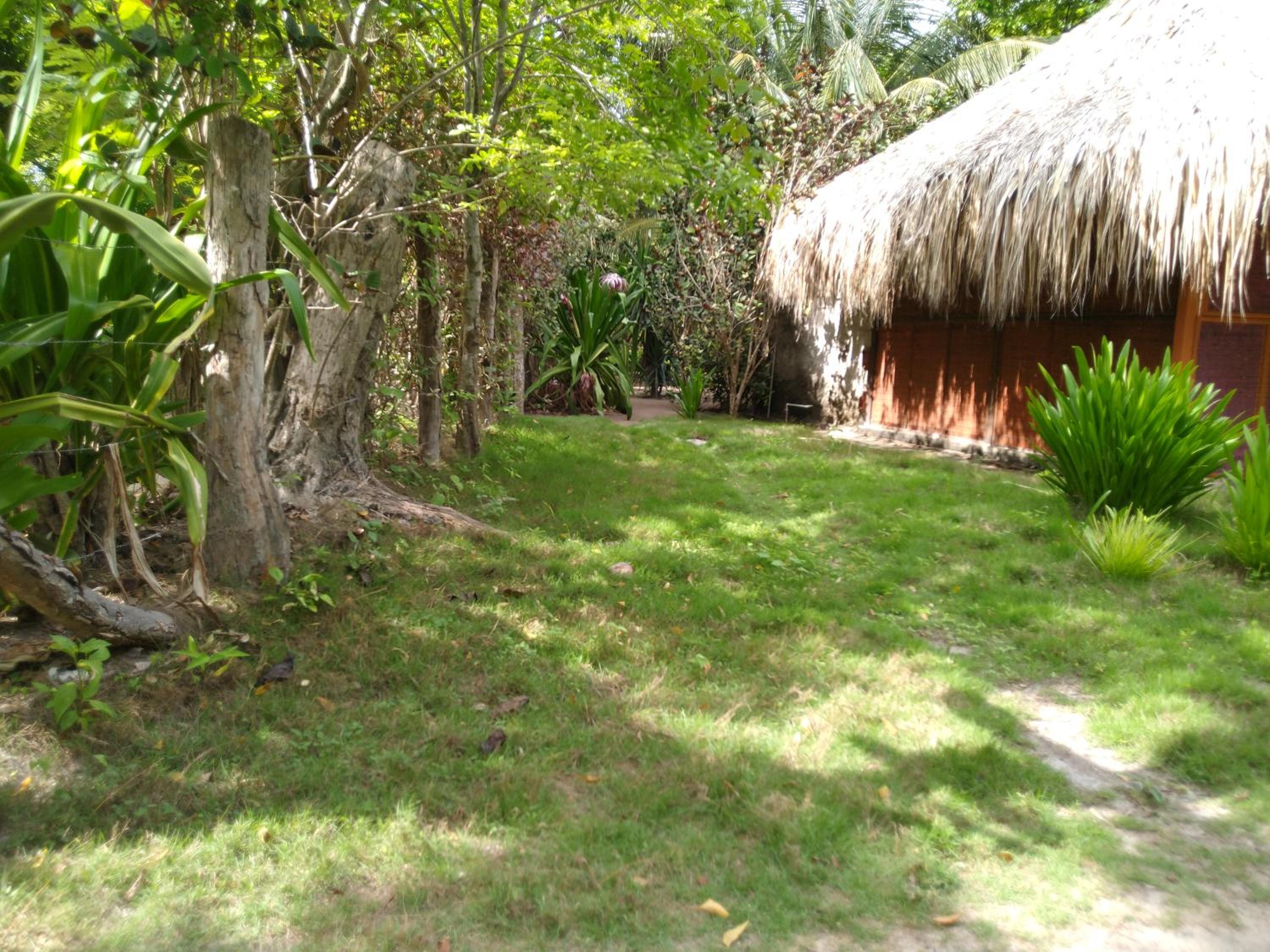 Photo 31