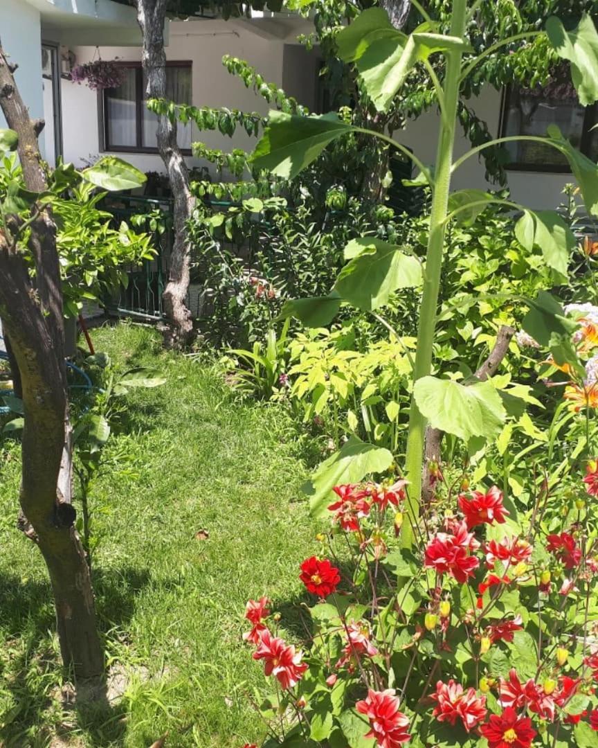 Guesthouse DONA