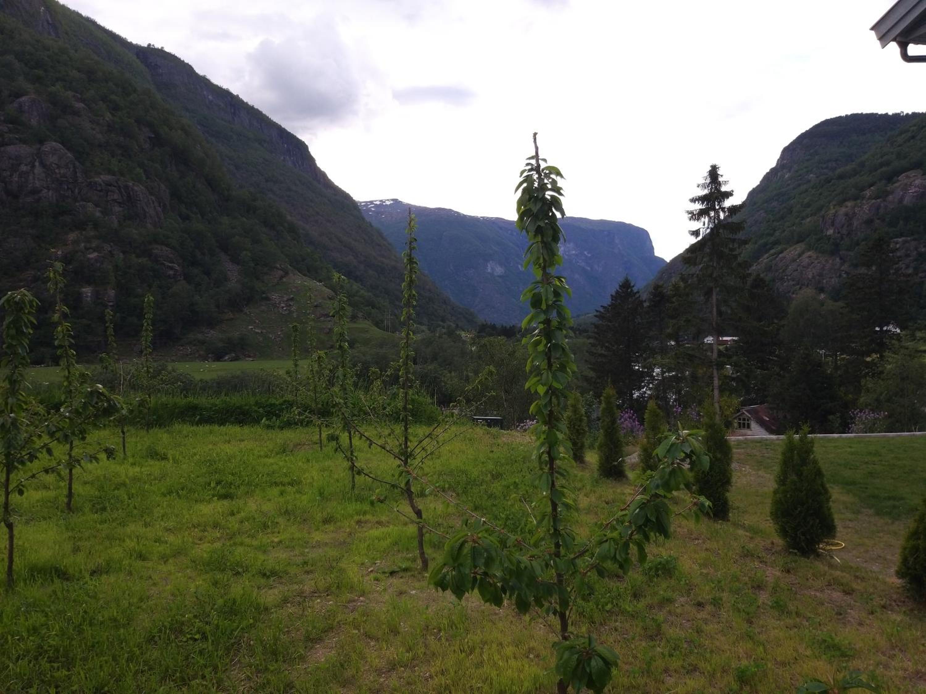 Photo 19