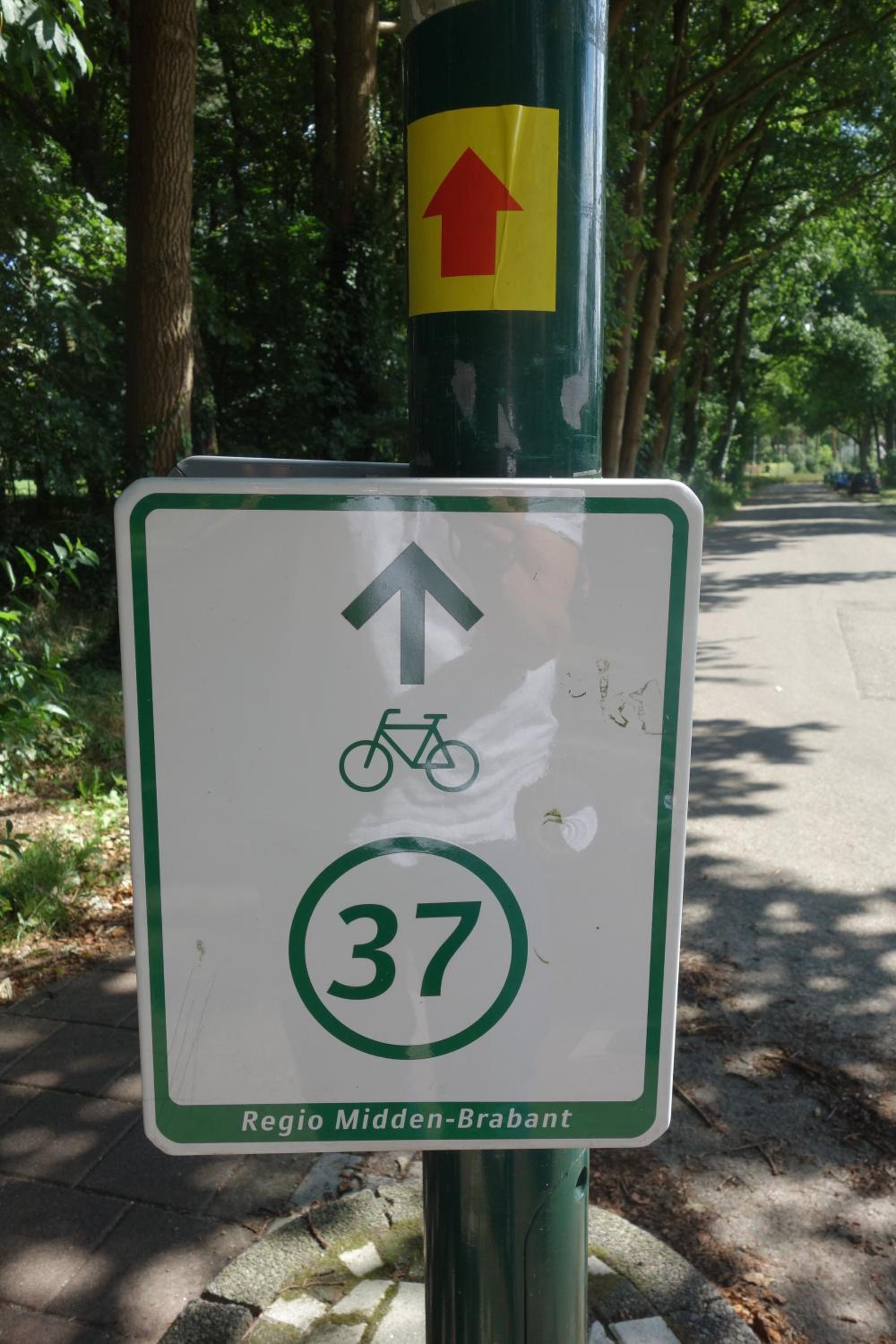Photo 23