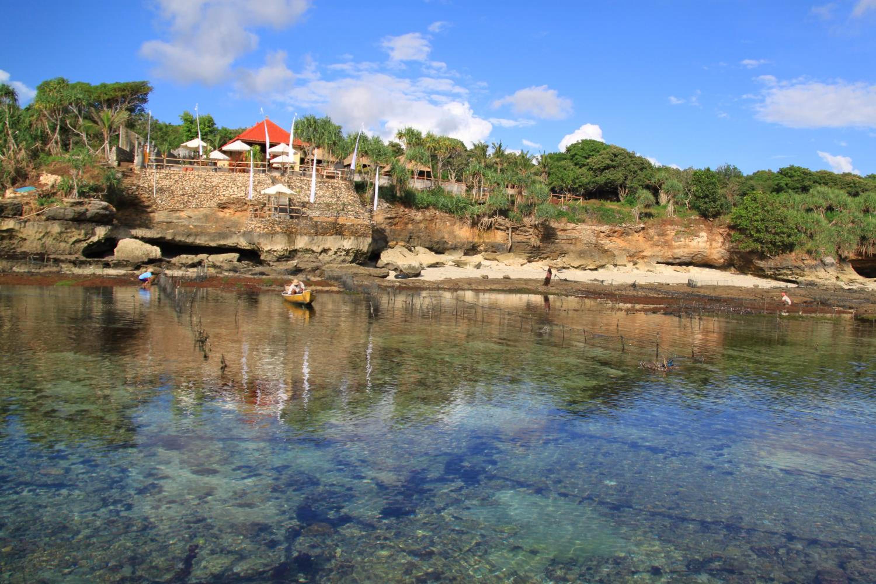 Photo 44