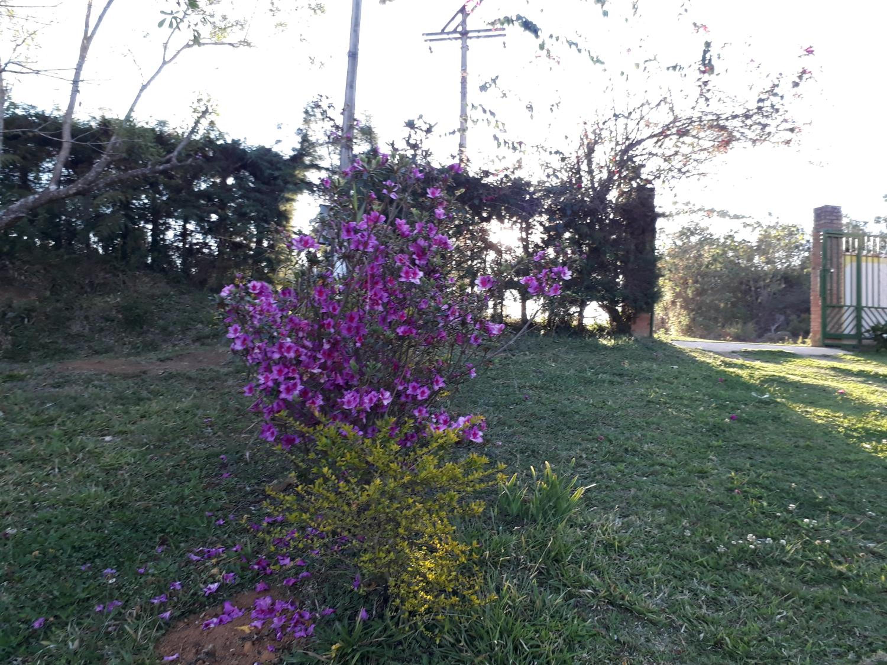 Photo 42