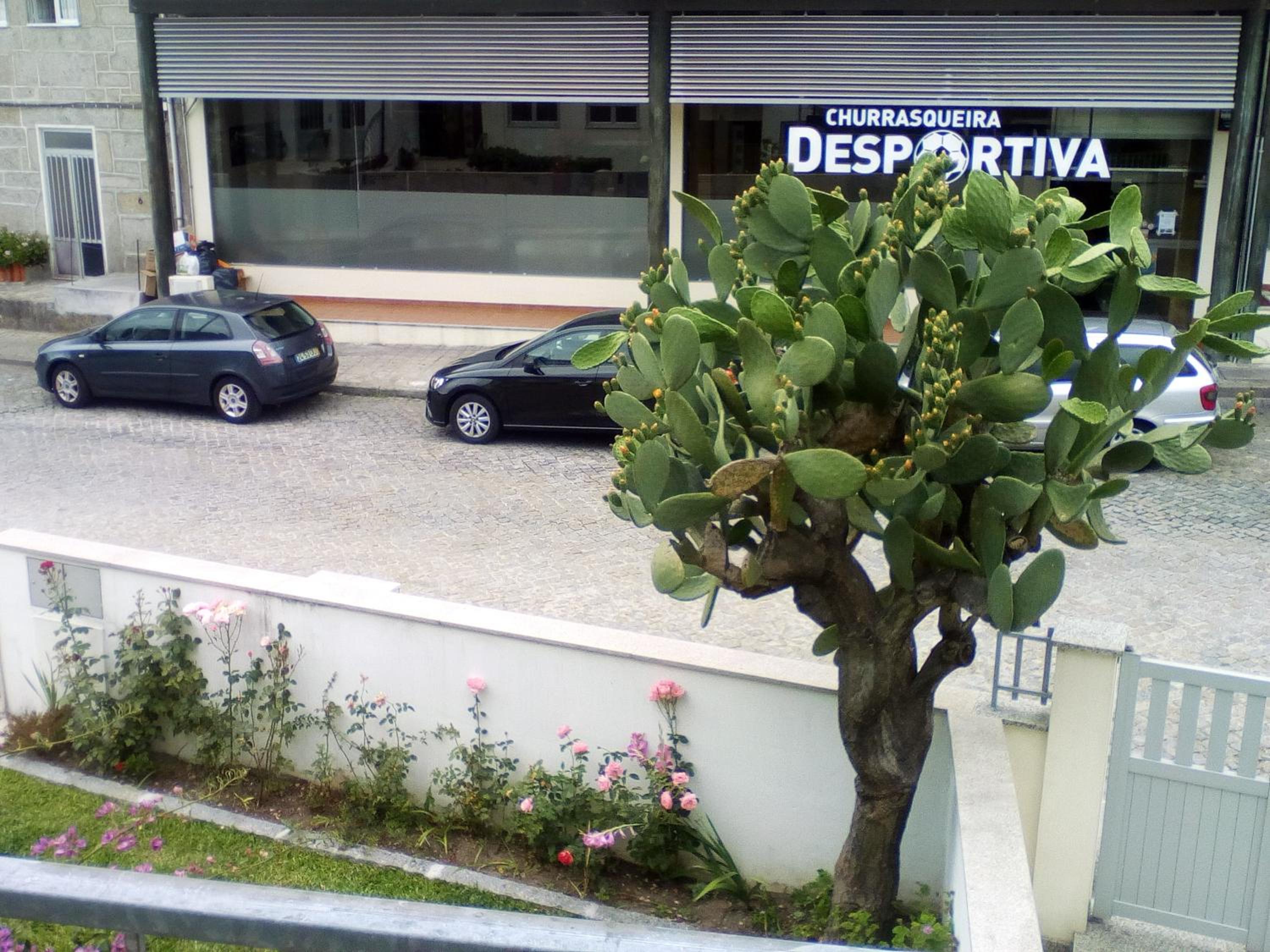 Home Sleep Home Fafe view 4