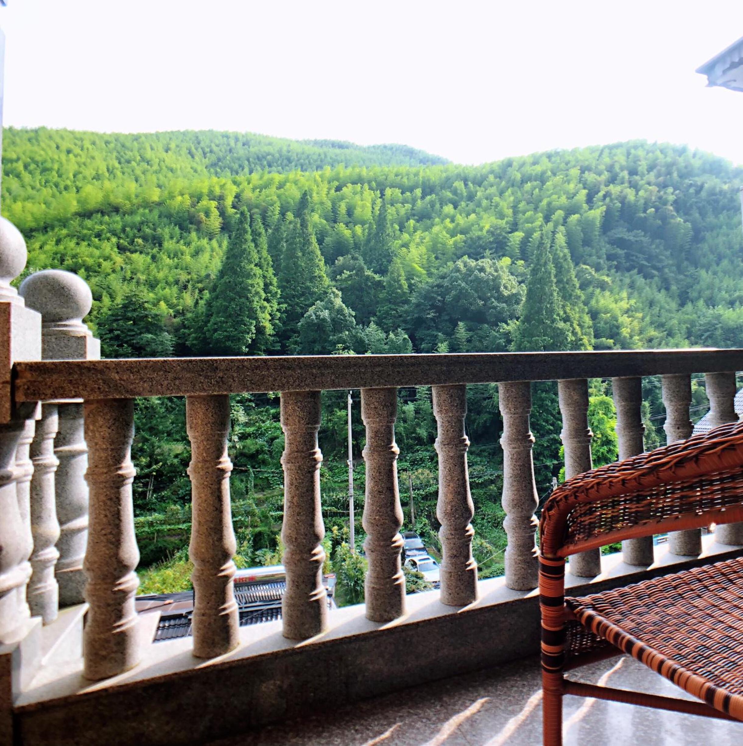Moganshan Bamboo View Guesthouse