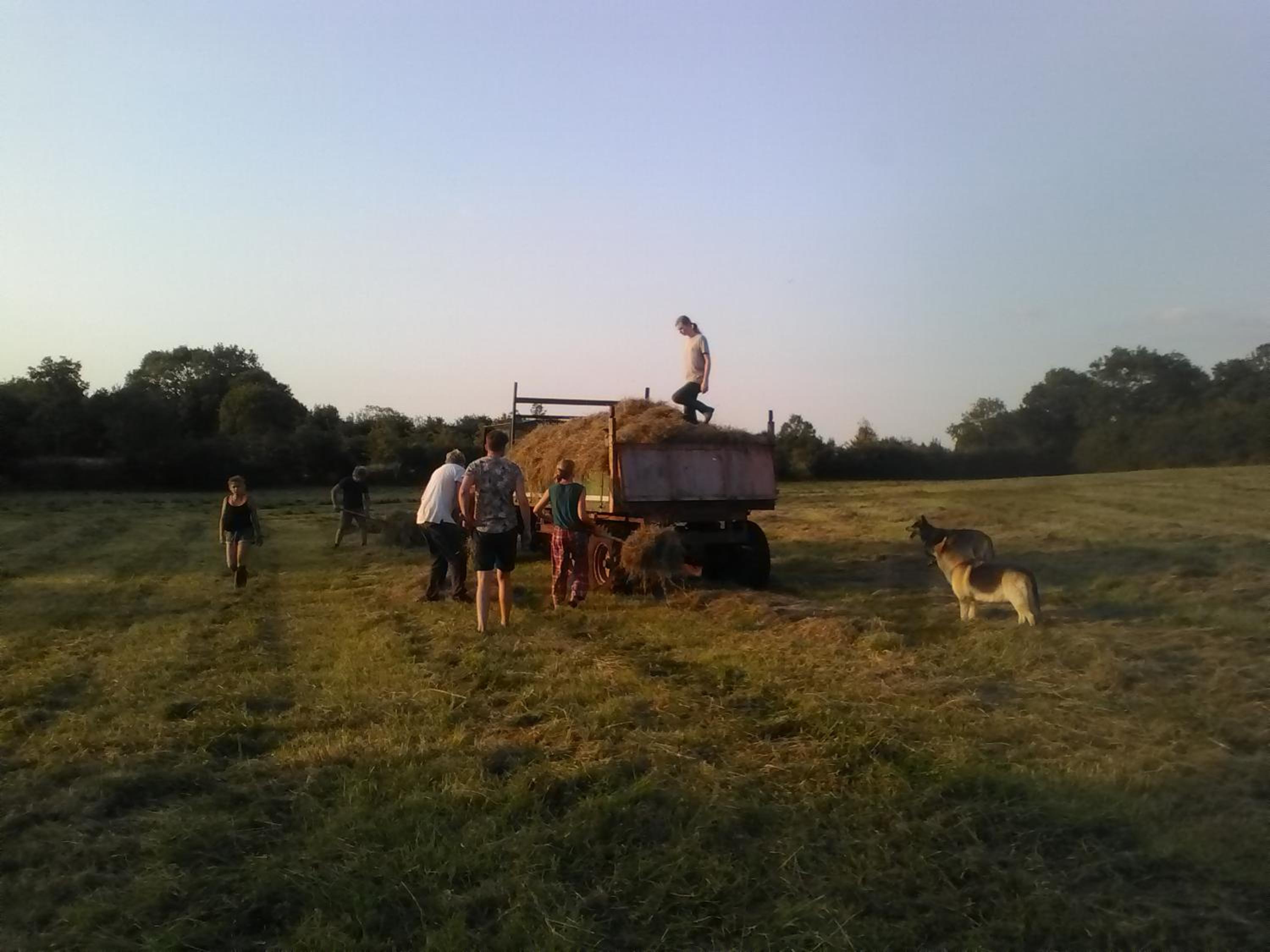The Little Flock Farm view 5