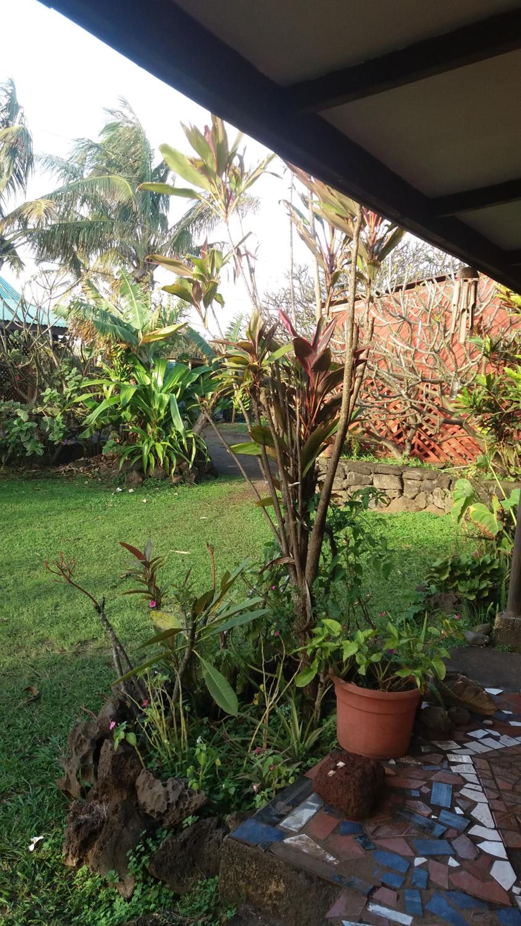 Photo 31