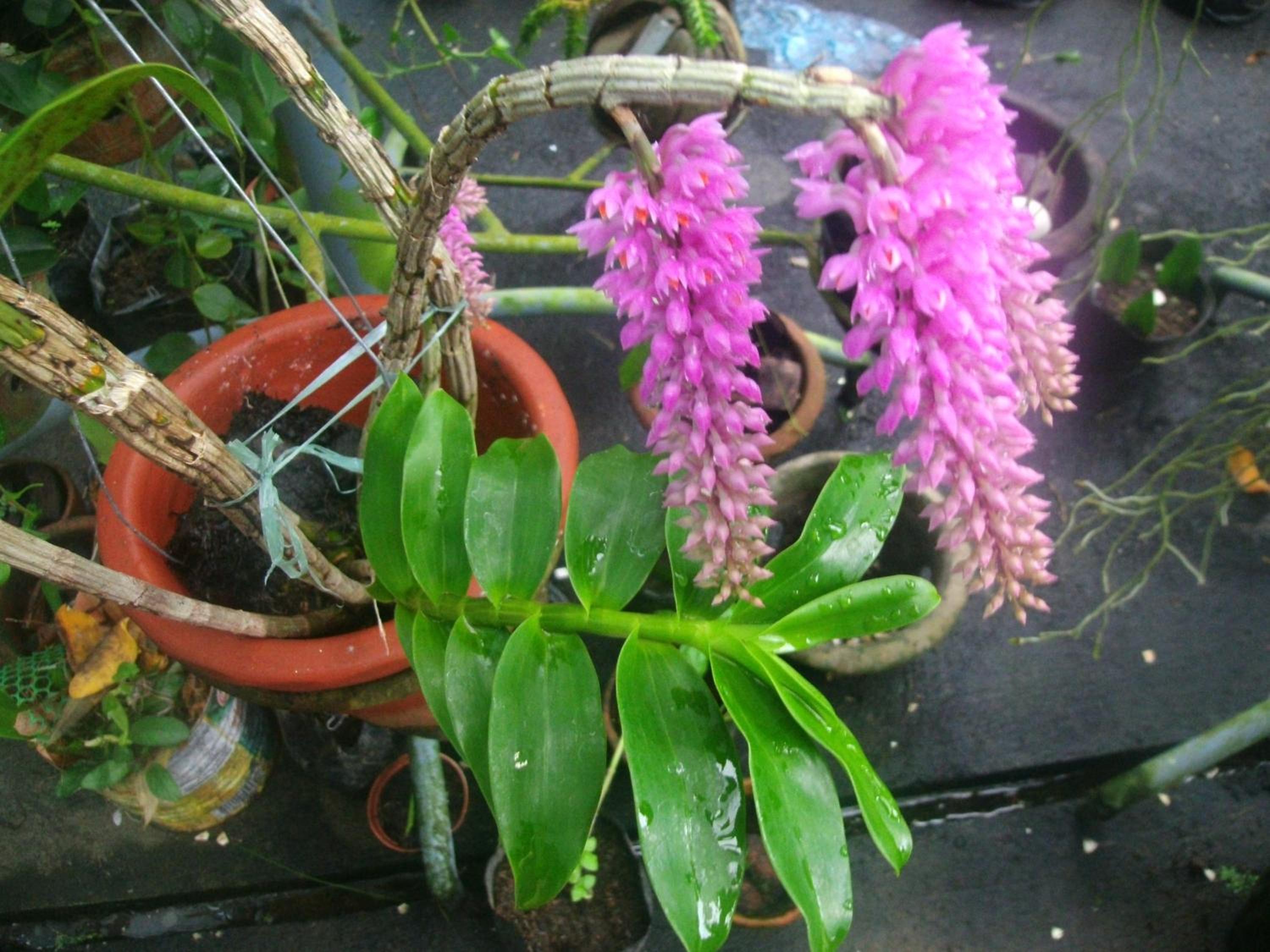 Photo 25