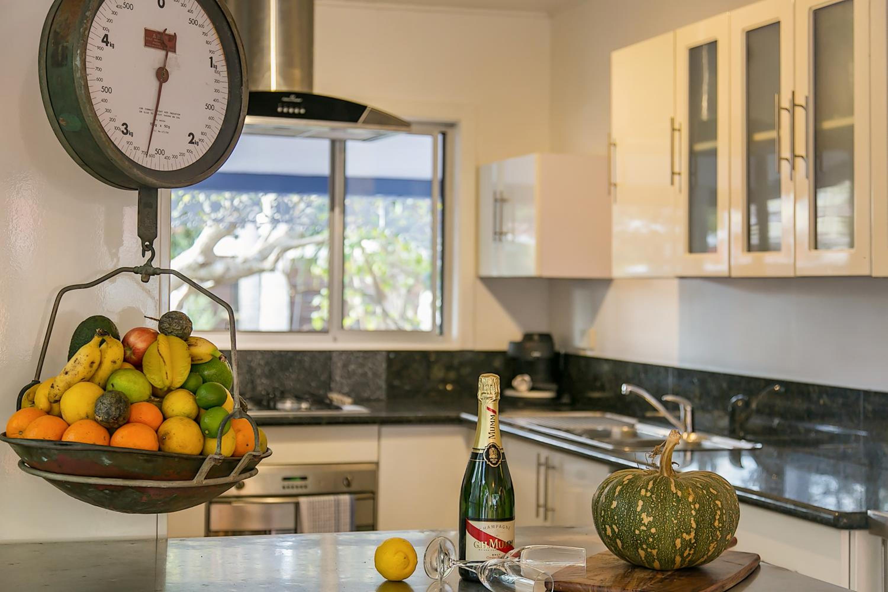 Pet Friendly Shirley Blue House and Studio