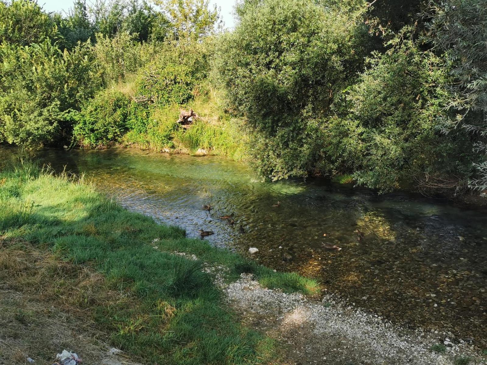 Photo 12