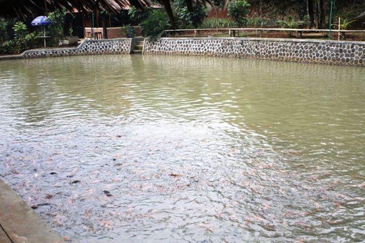 Kampoeng Wisata Rumah Joglo, photo 80