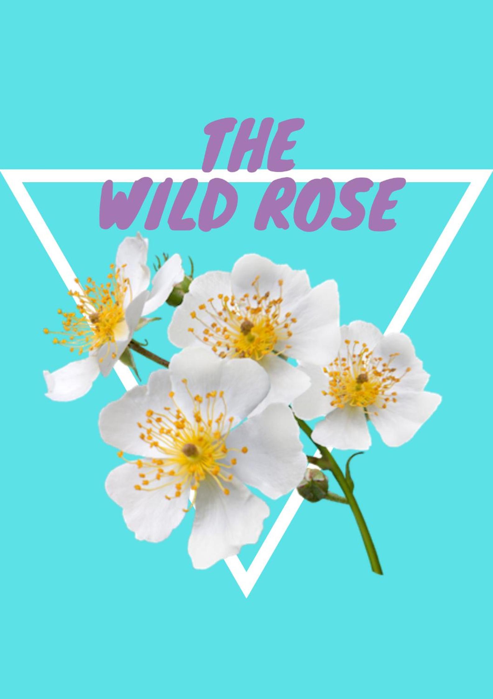 The Wild Rose