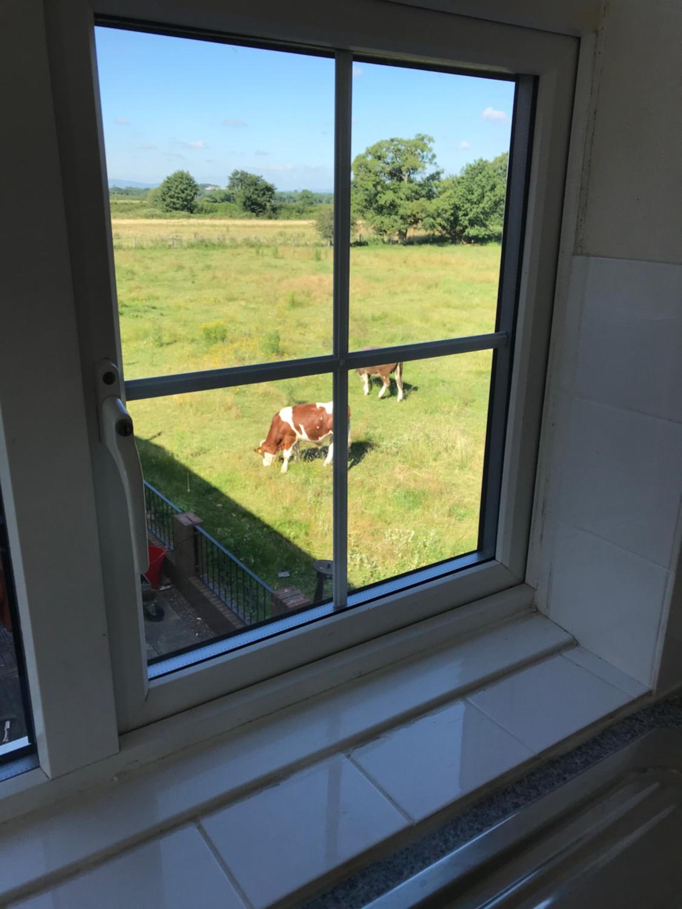 Moorhouse Farm Flat view 2