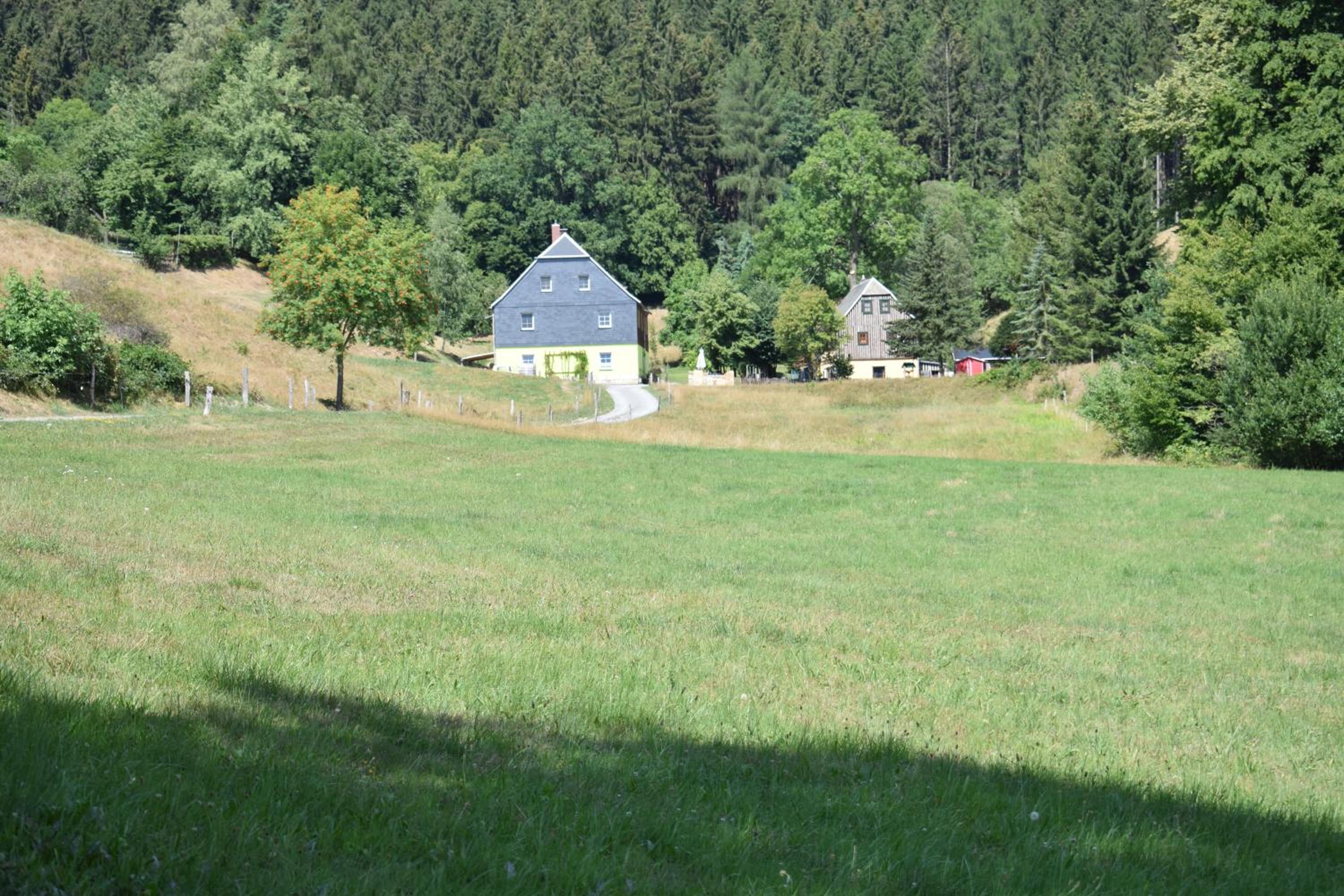 Photo 13