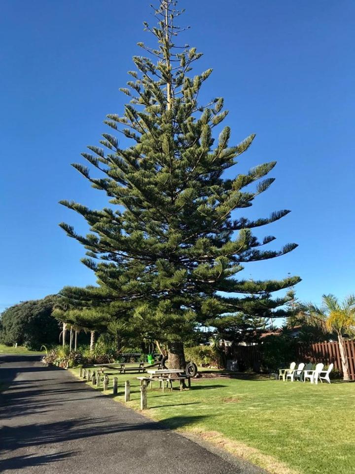 Beaches Motel view 3