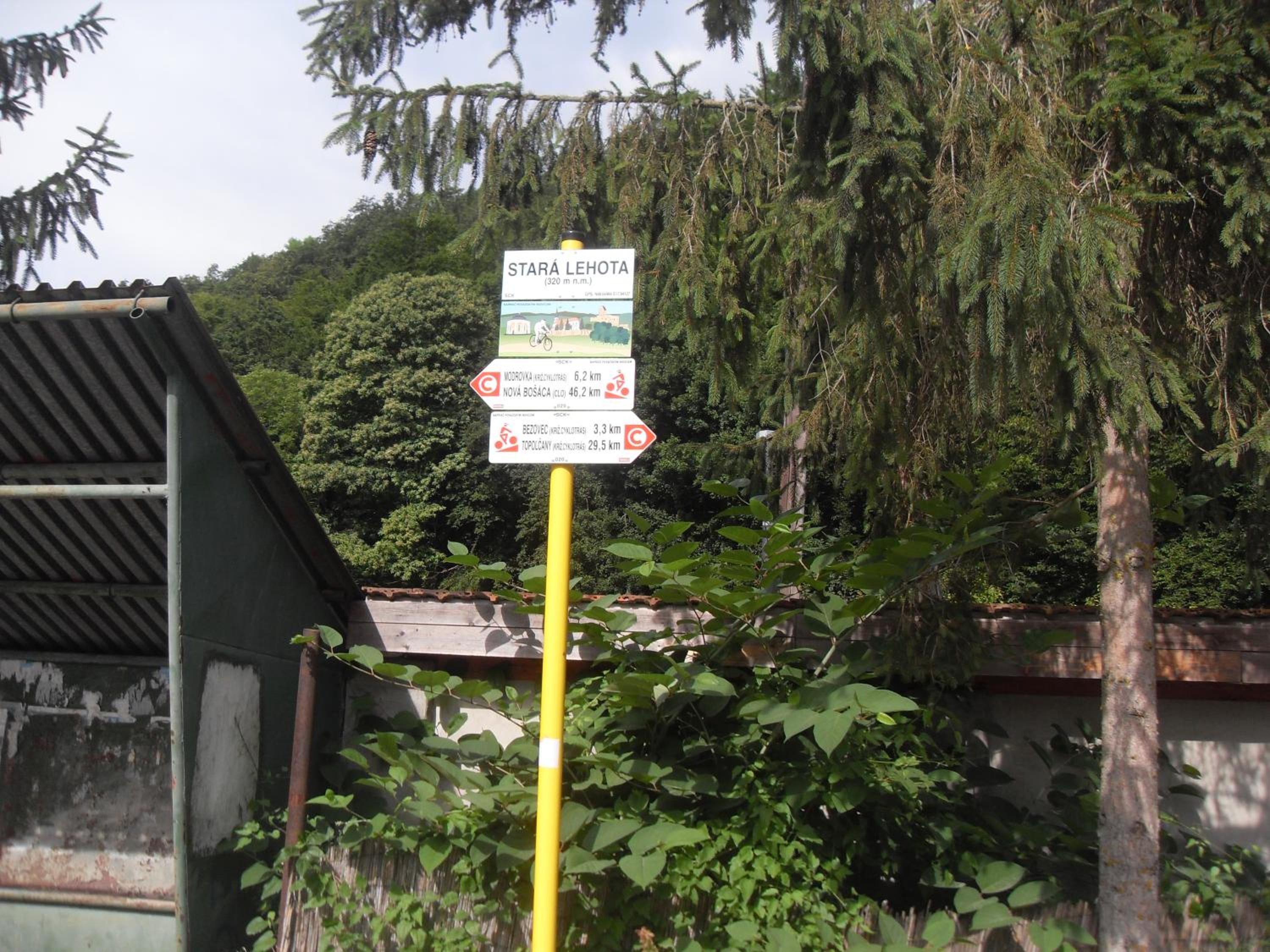 Photo 20