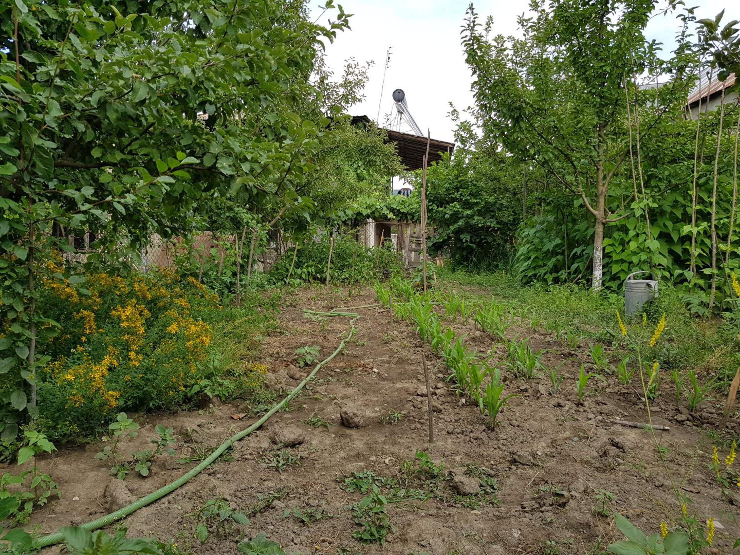 Photo 89