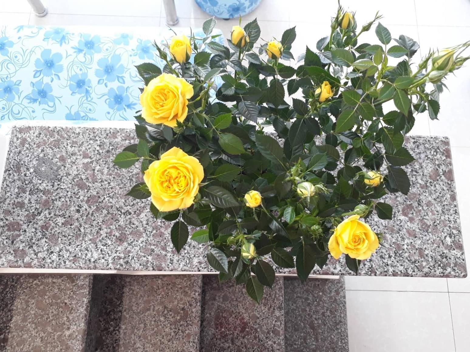 Photo 27