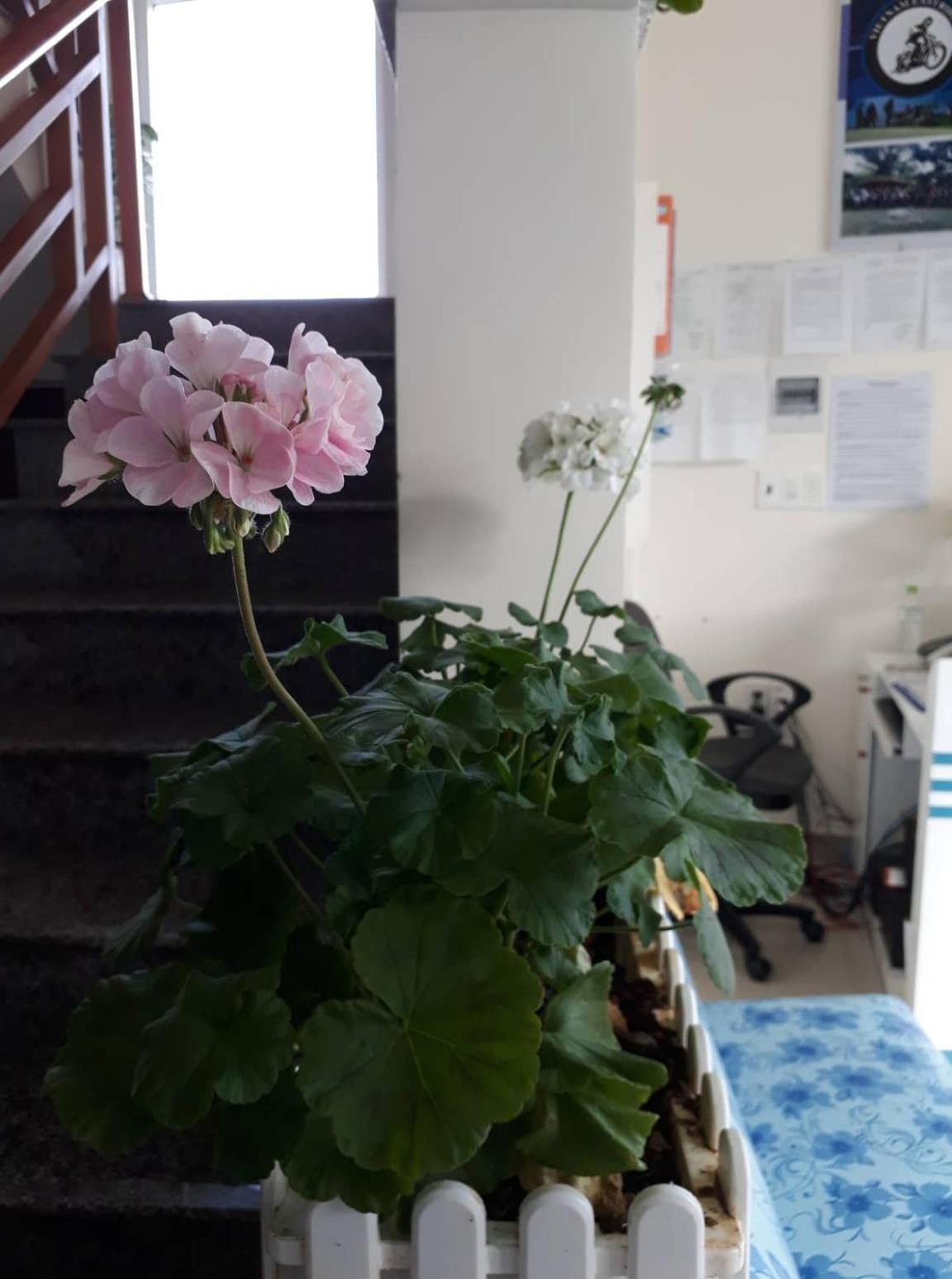 Photo 38