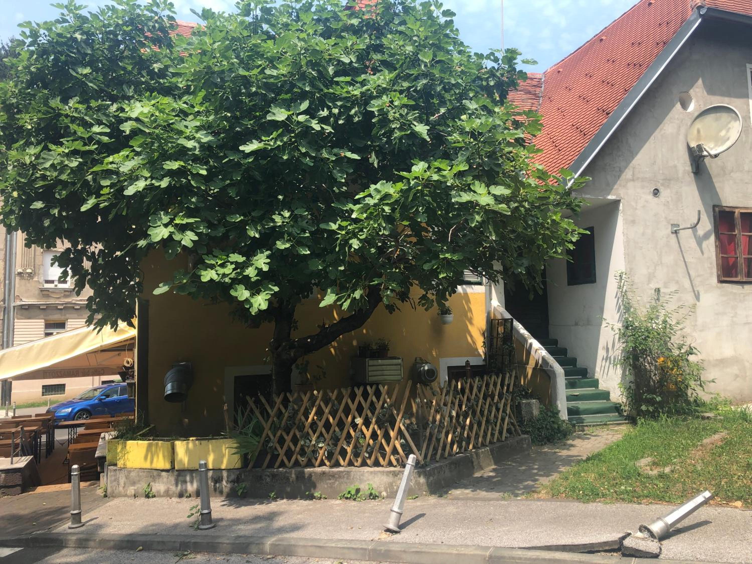 Apartment Tkalča
