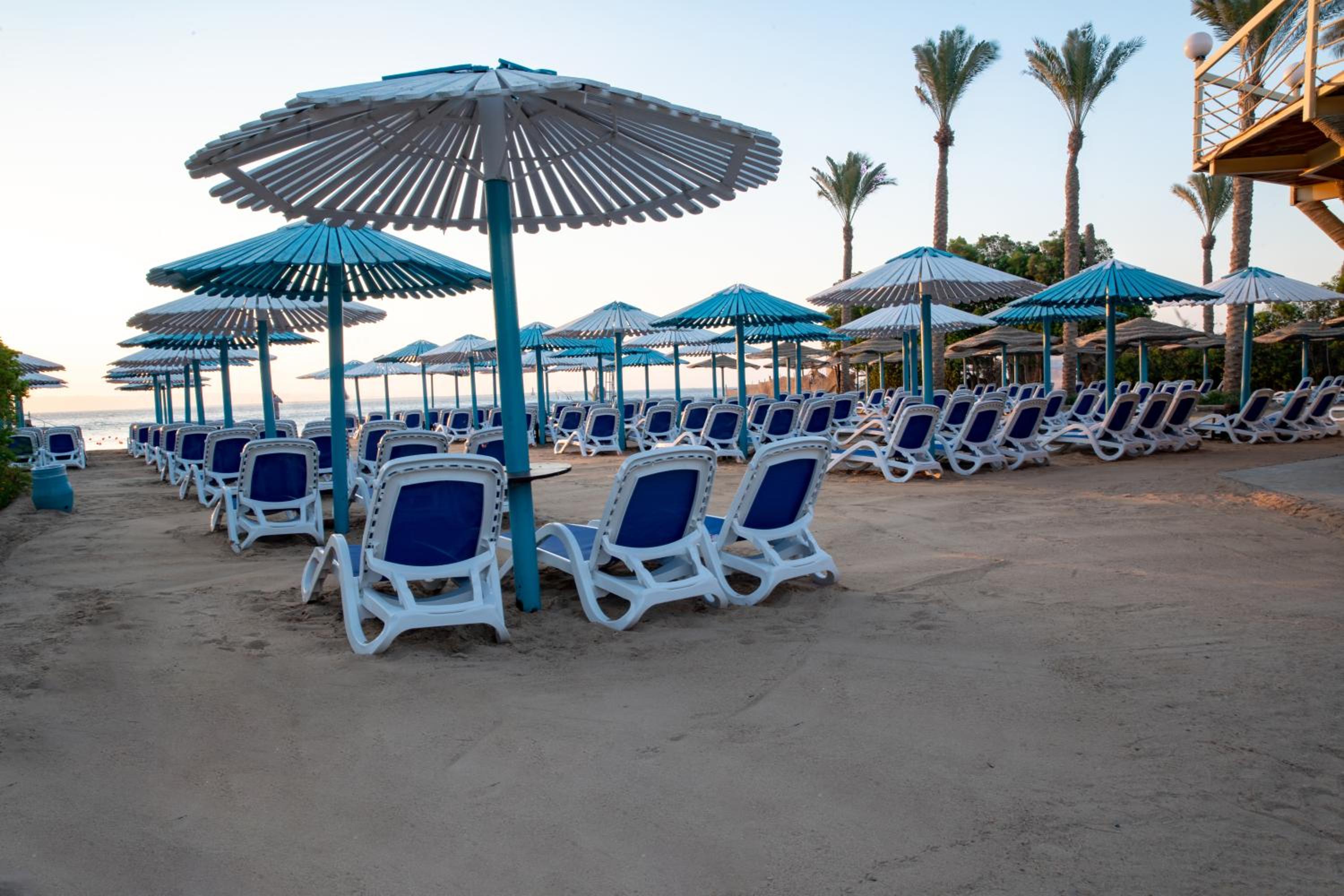 MinaMark Beach Resort for Families and Couples Only