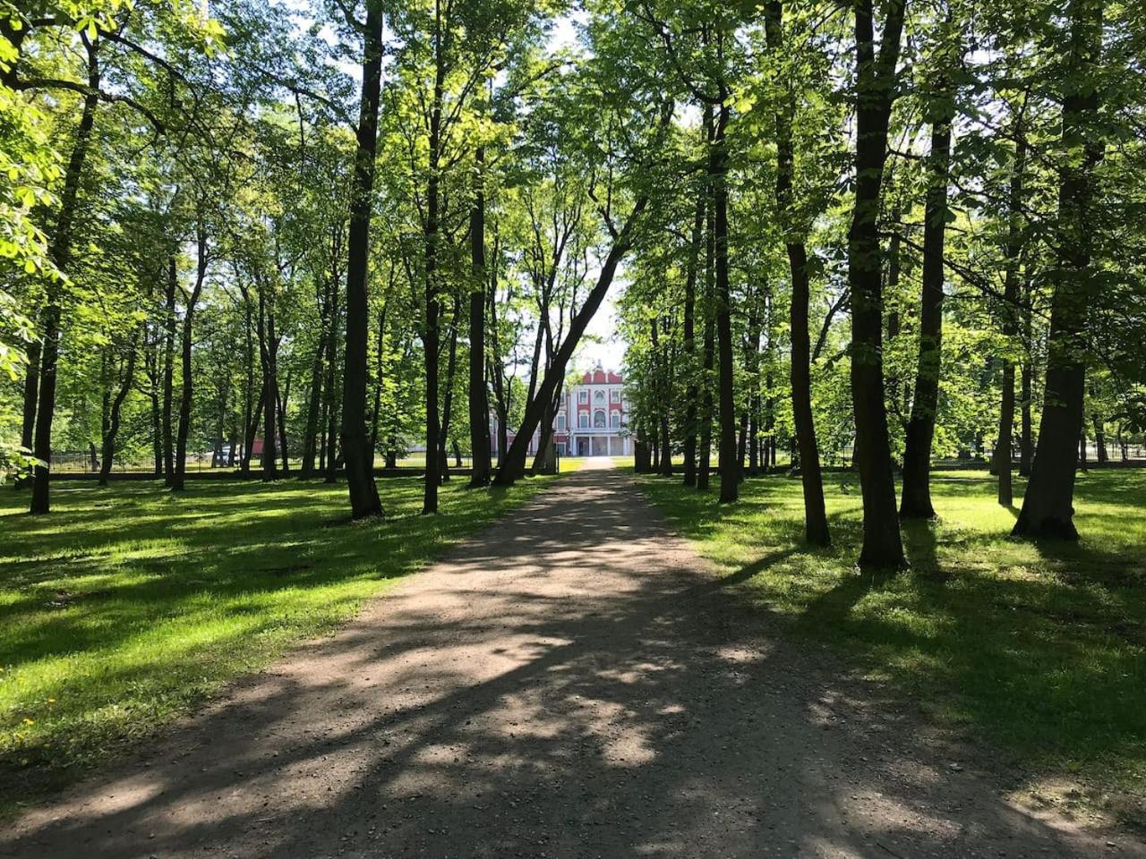 1 Bedroom Apartment near Kadriorg Swan Pond