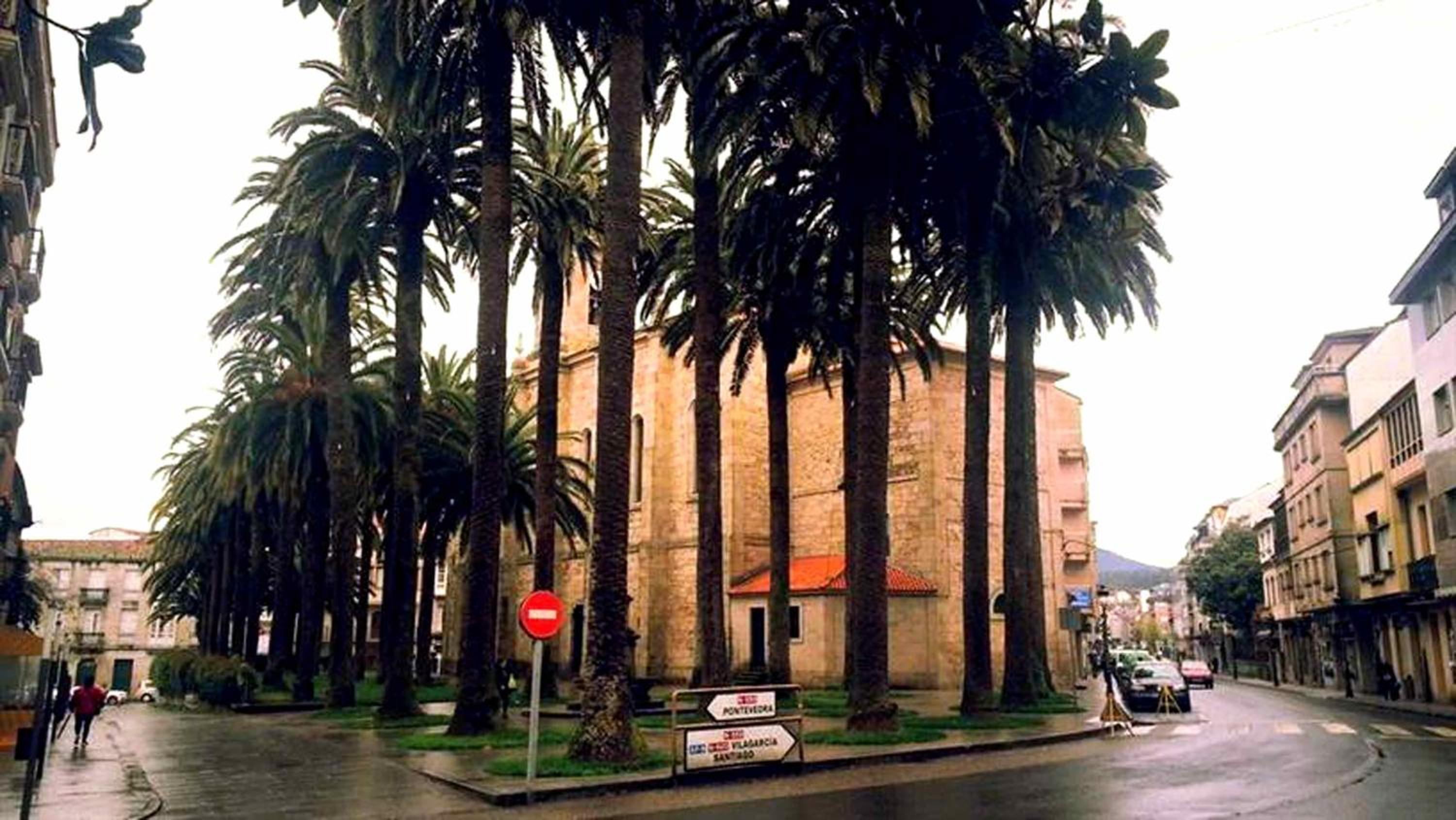 Albergue Albor