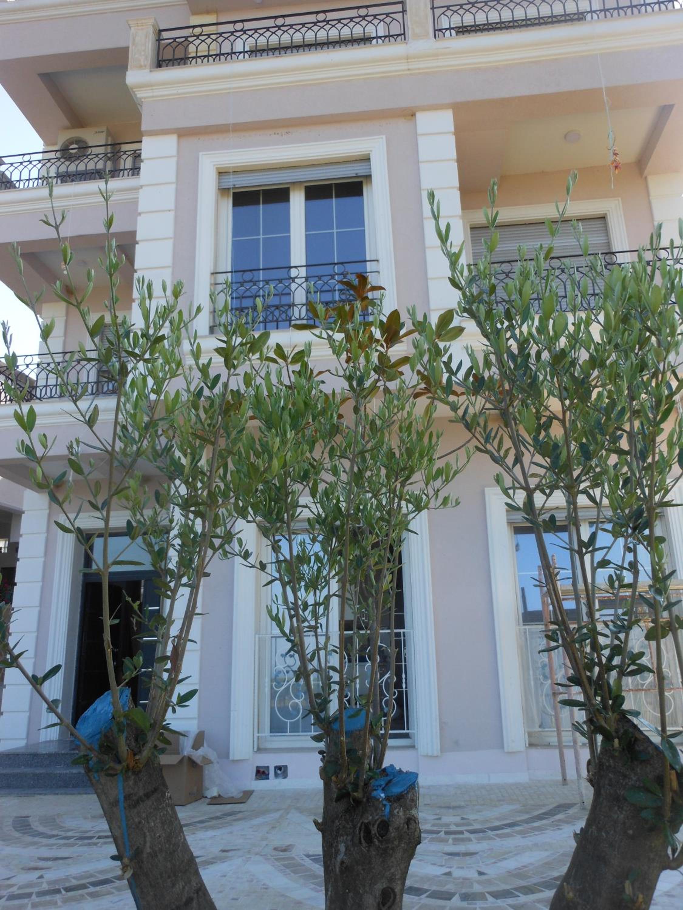 Villa Luiss Panorama