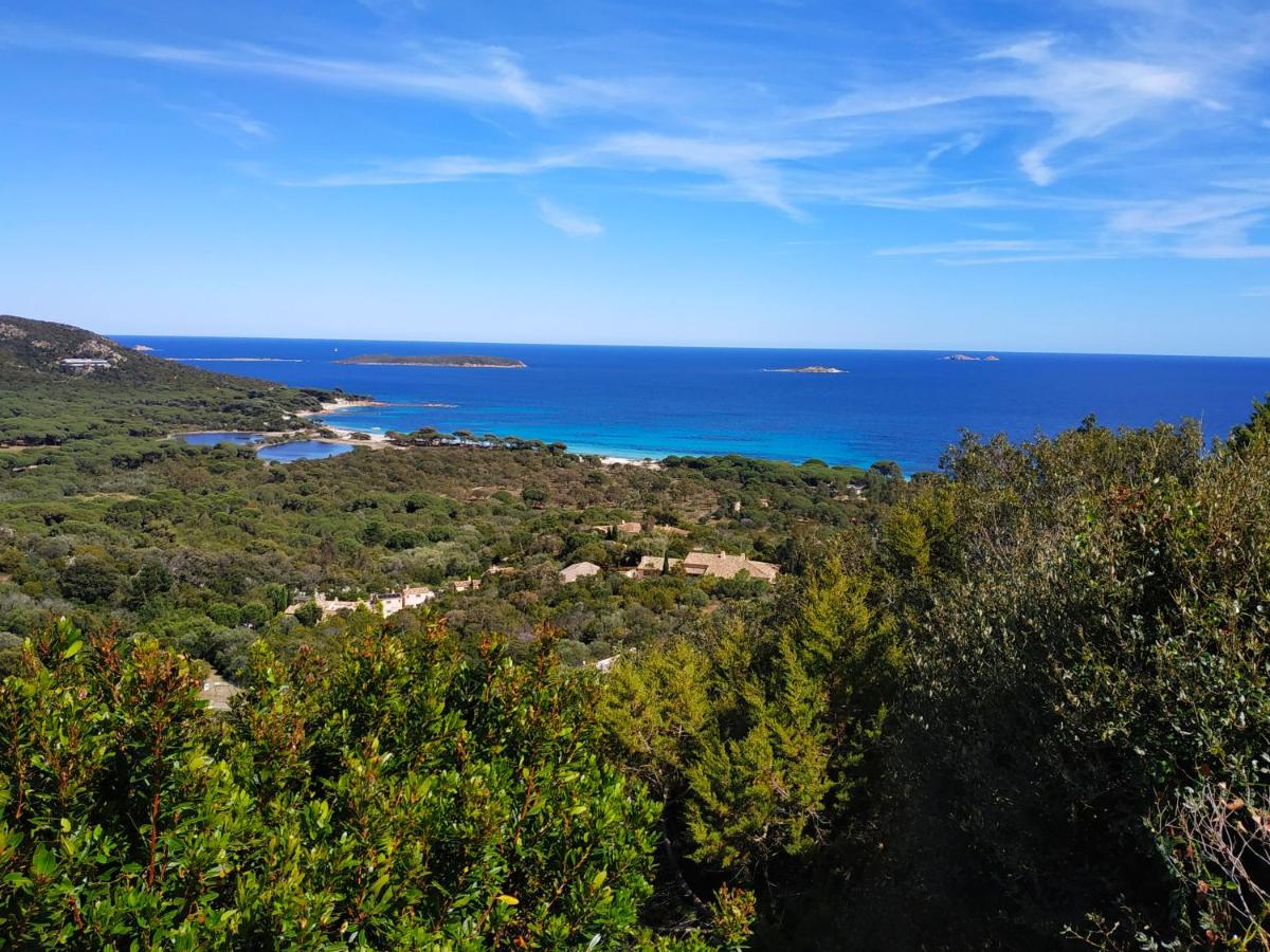 Résidence Belvedere de Palombaggia