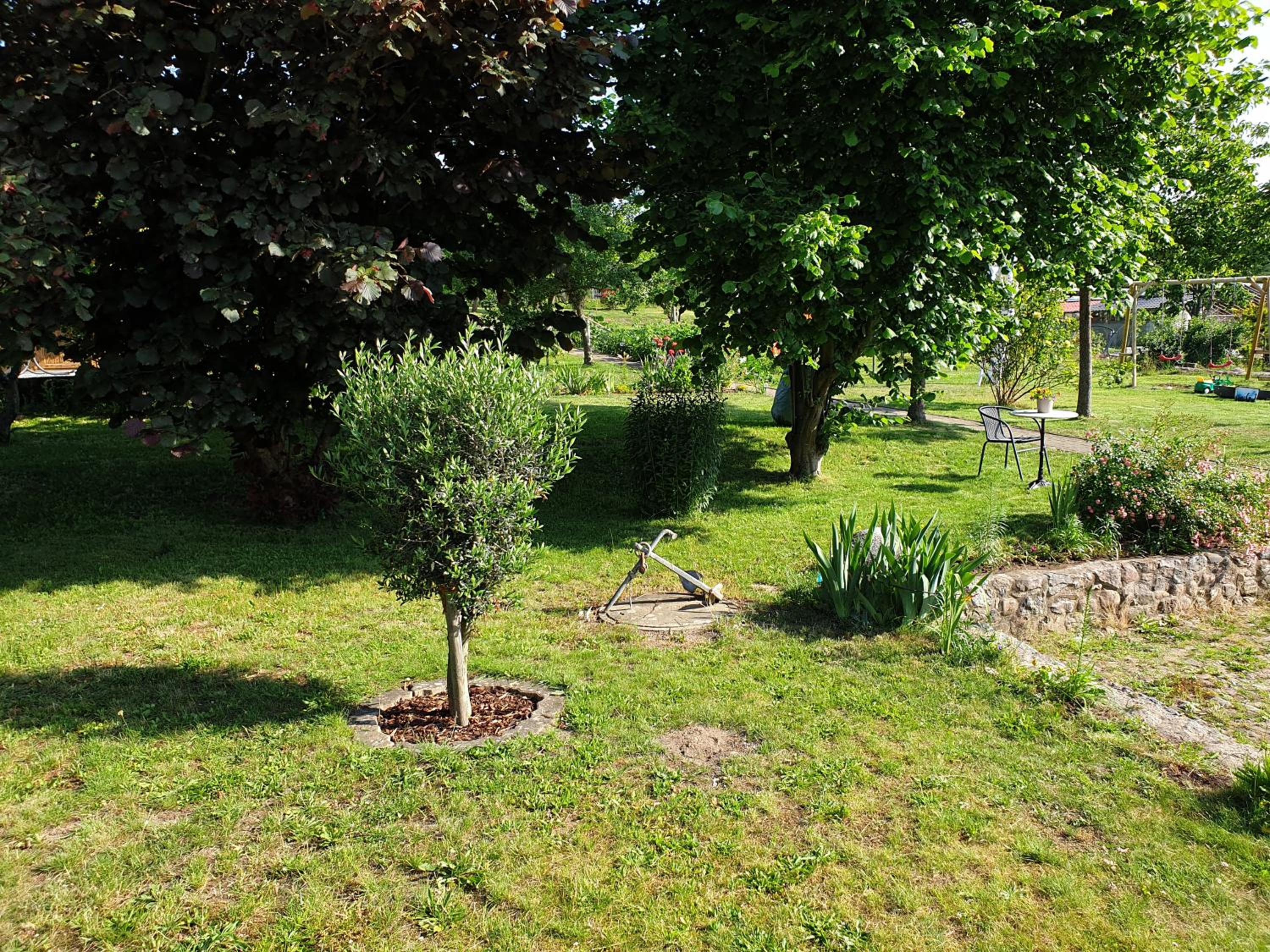 Photo 22