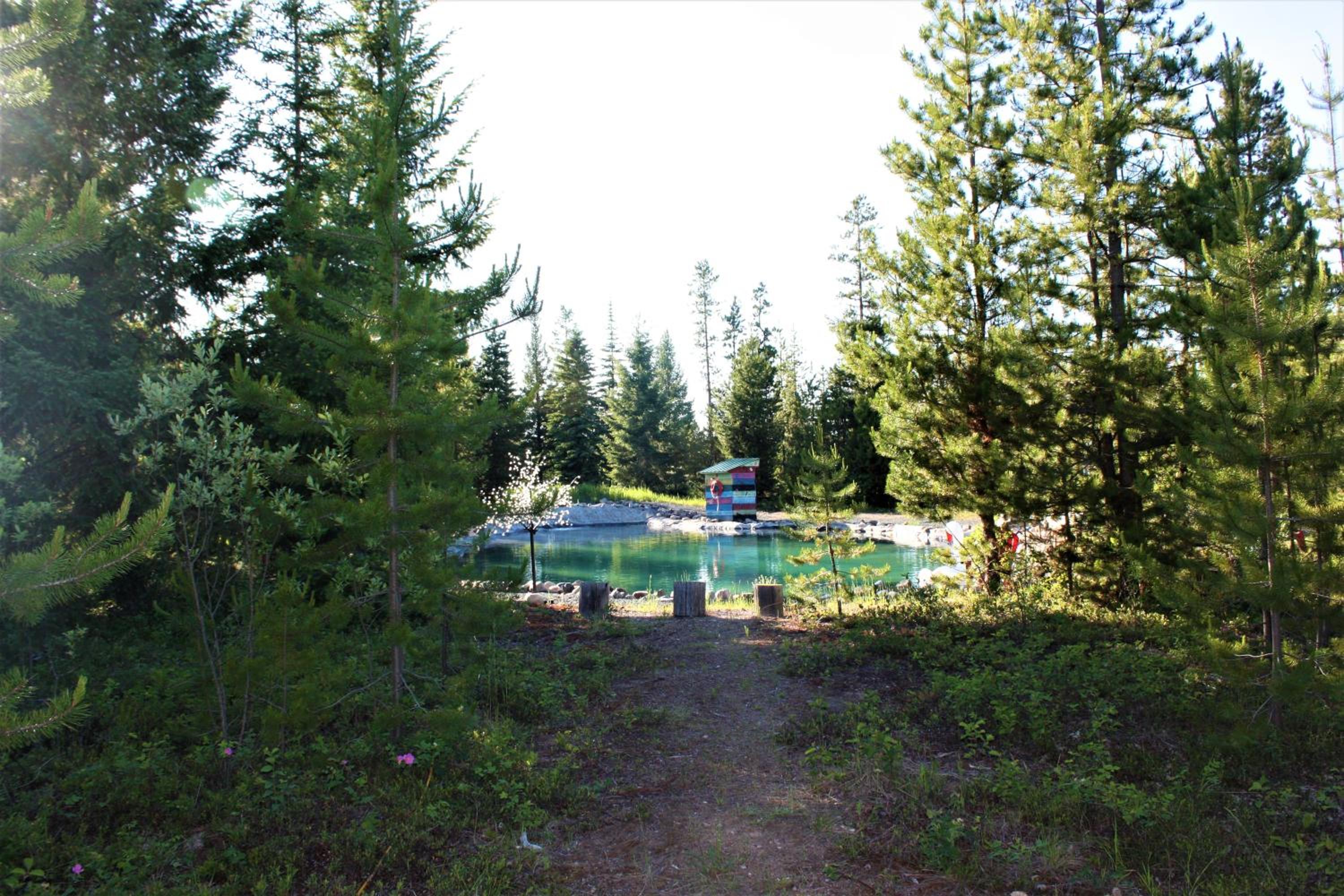 Photo 31