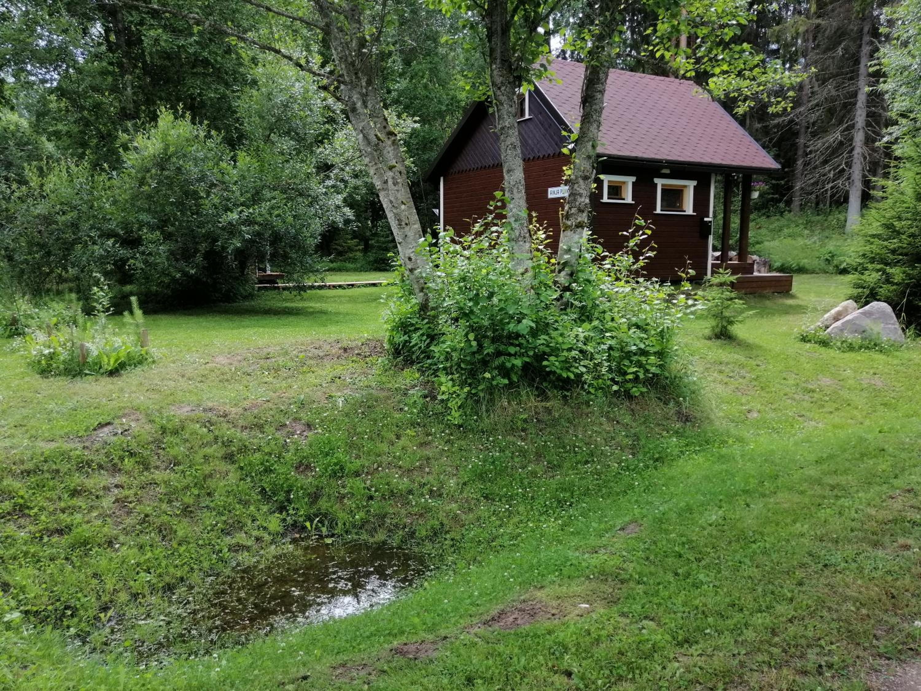 Photo 18