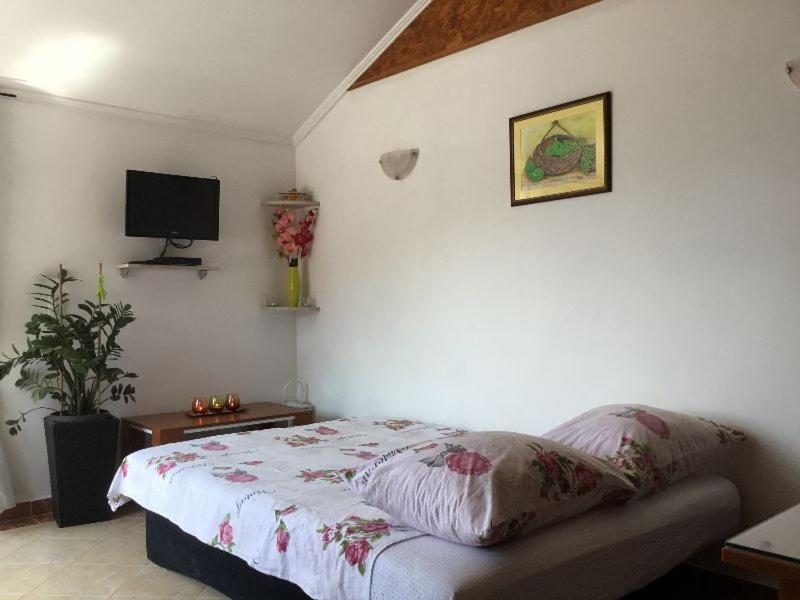 Apartment Lanterna view 2