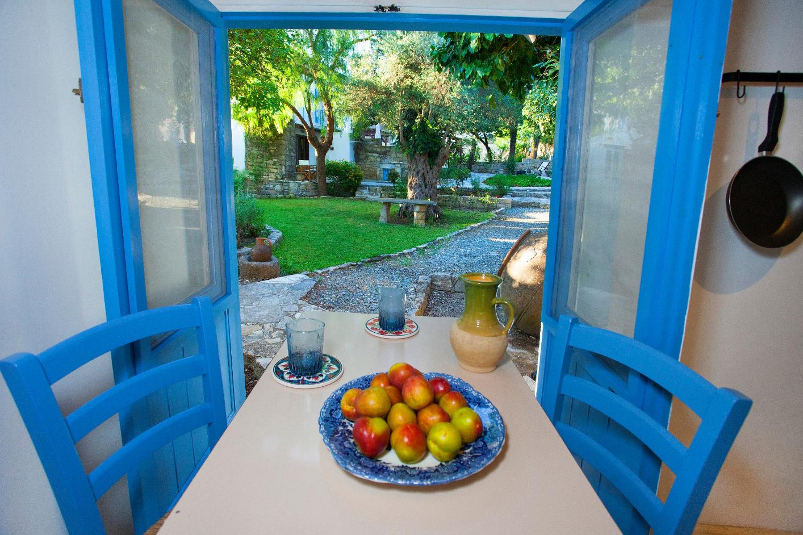 Cecilias Courtyard