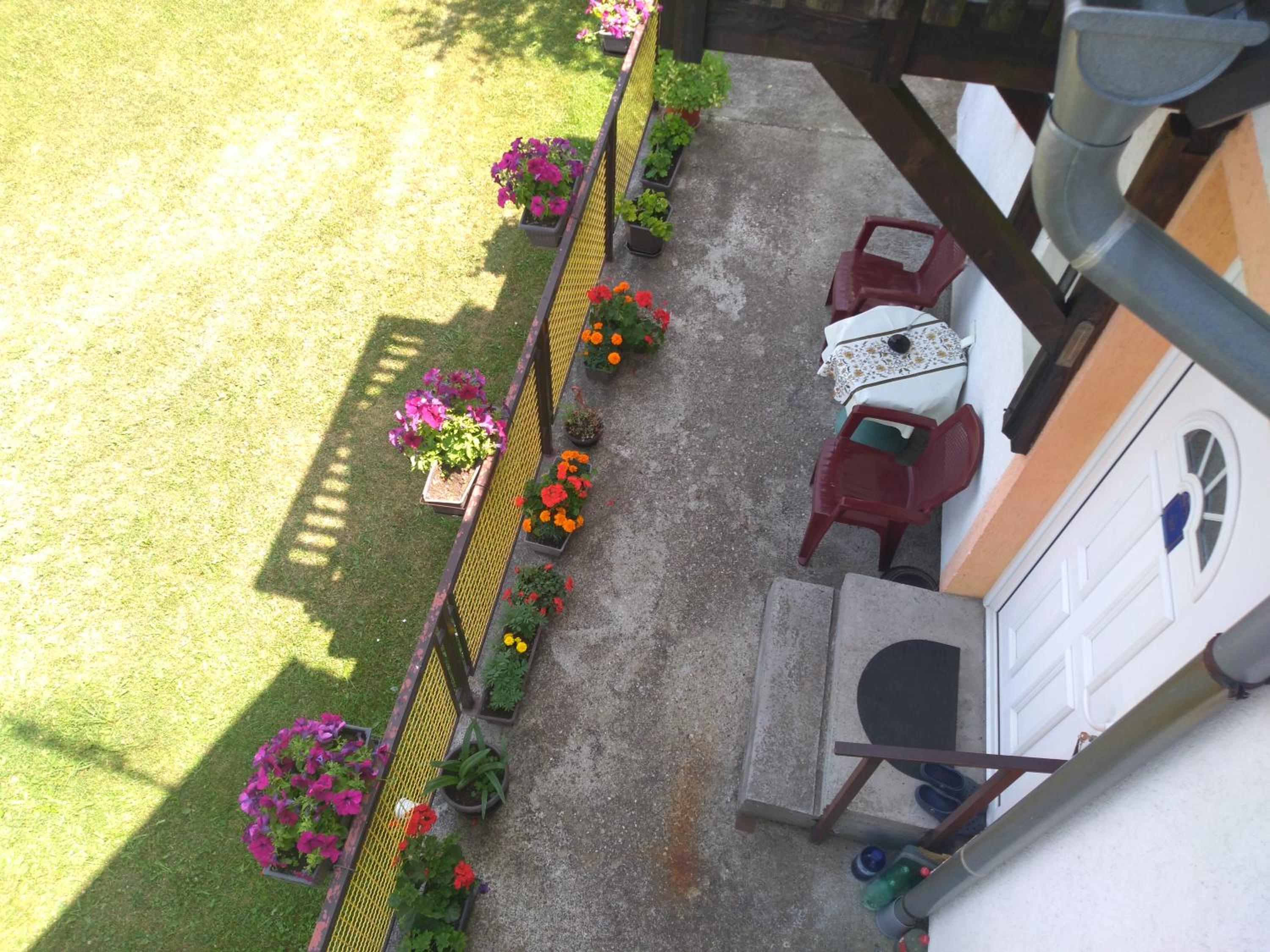 Photo 29
