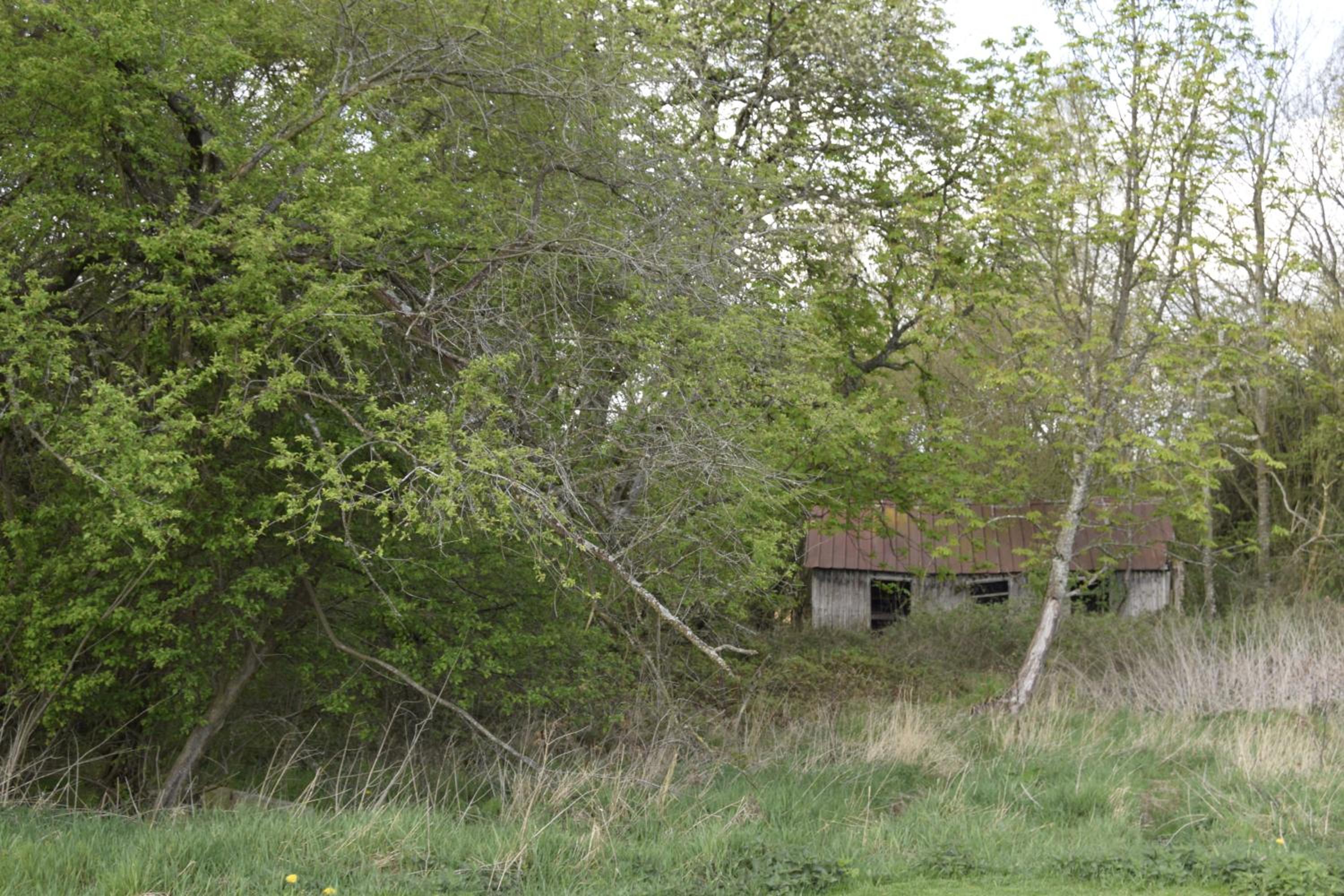 Fredensholm Annex