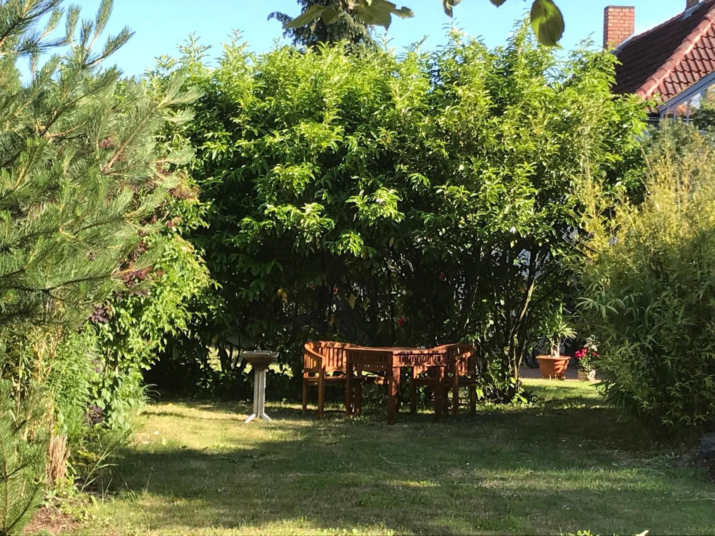 Photo 42