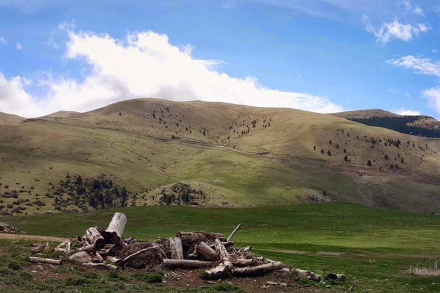 Les Forques de'n Pep view 3