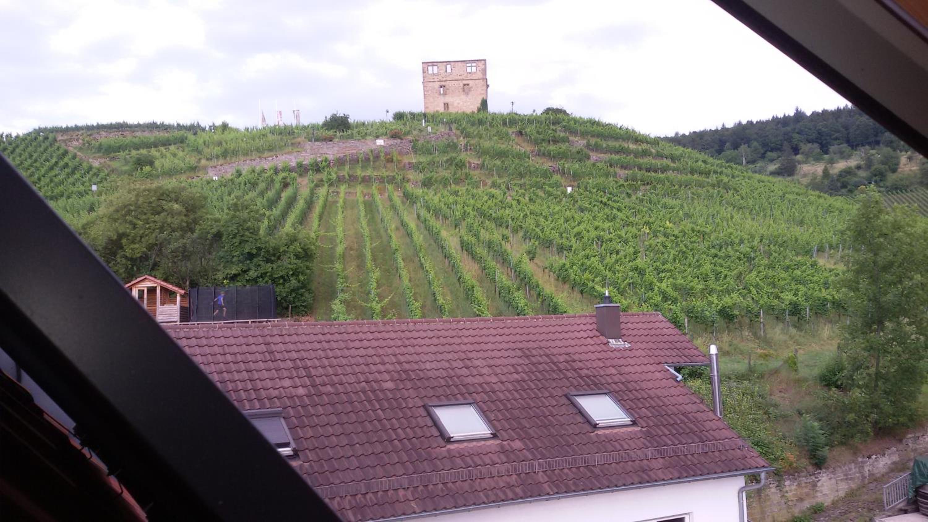 Giebelzimmer mit Weinbergblick view 2
