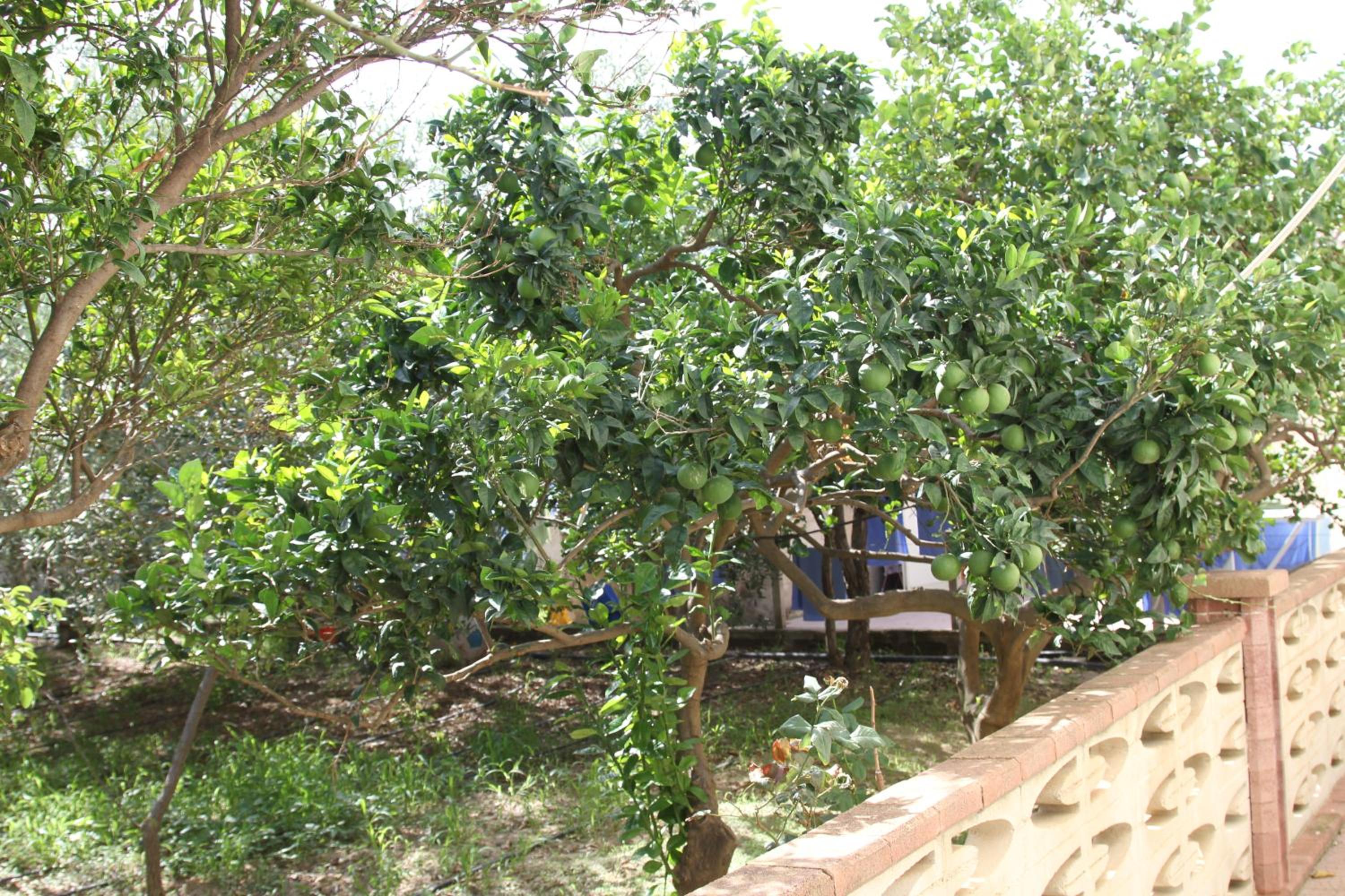 Photo 24