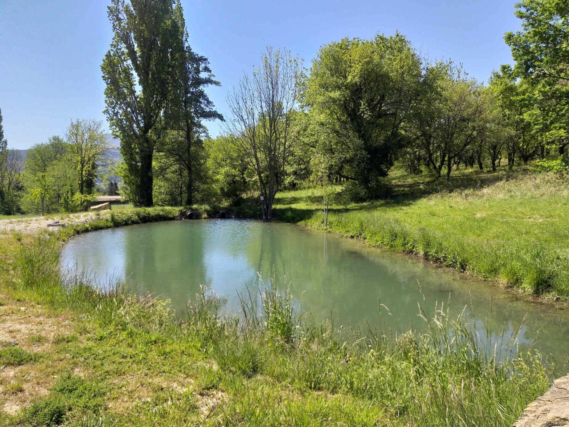 Photo 42