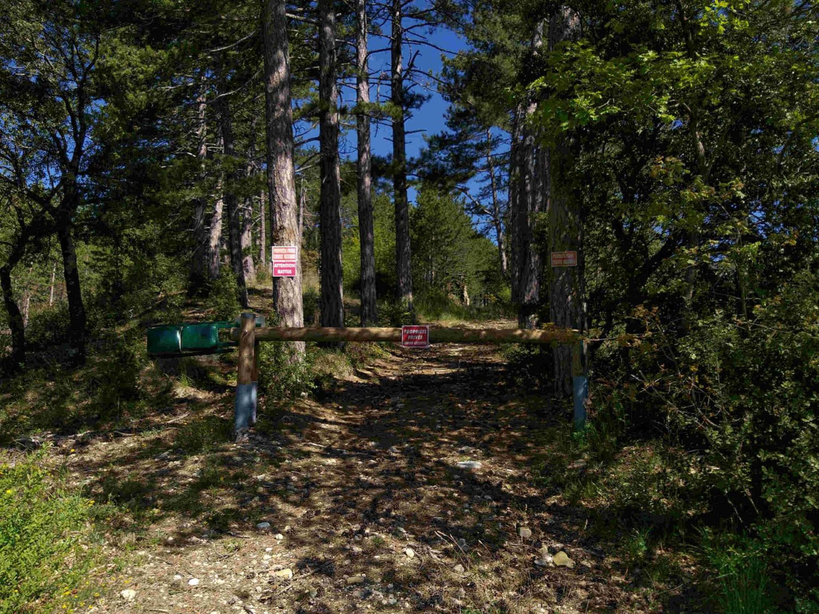 Photo 25