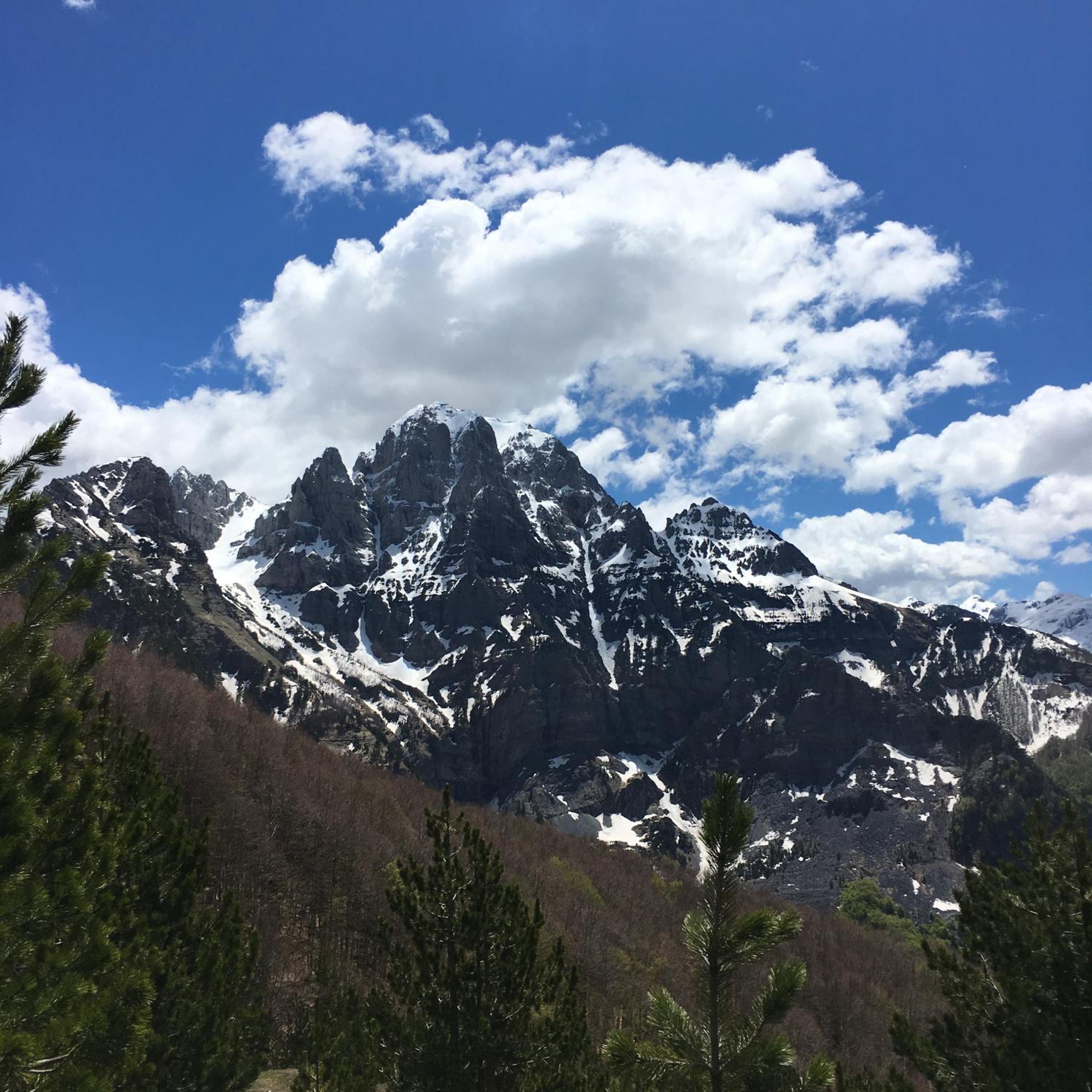 Alpinehouse