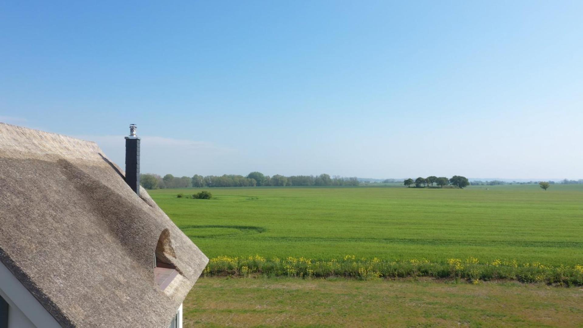 Reetdachhäuser am Bakenberg