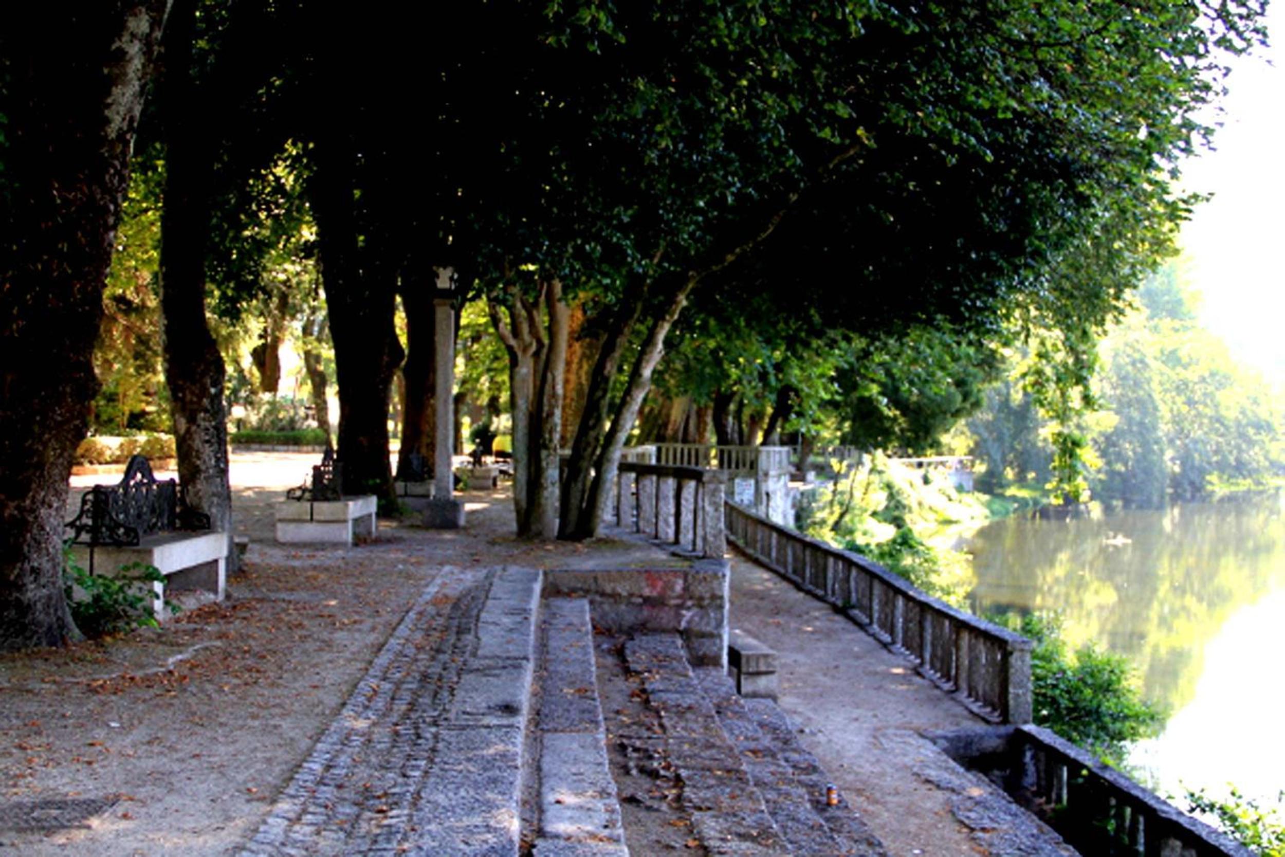 Albergue Albor